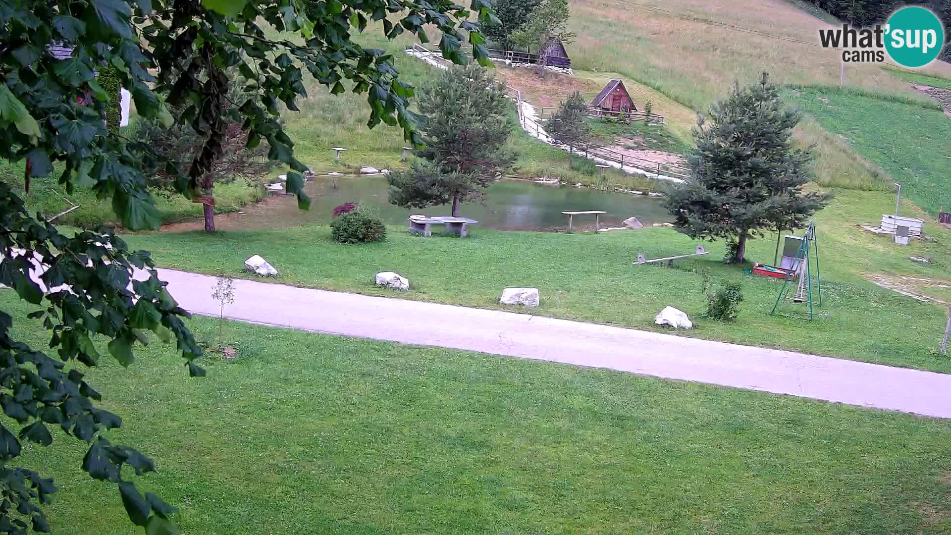 Stagno presso la Fattoria turistica Pr’Vrhovc | webcam in diretta