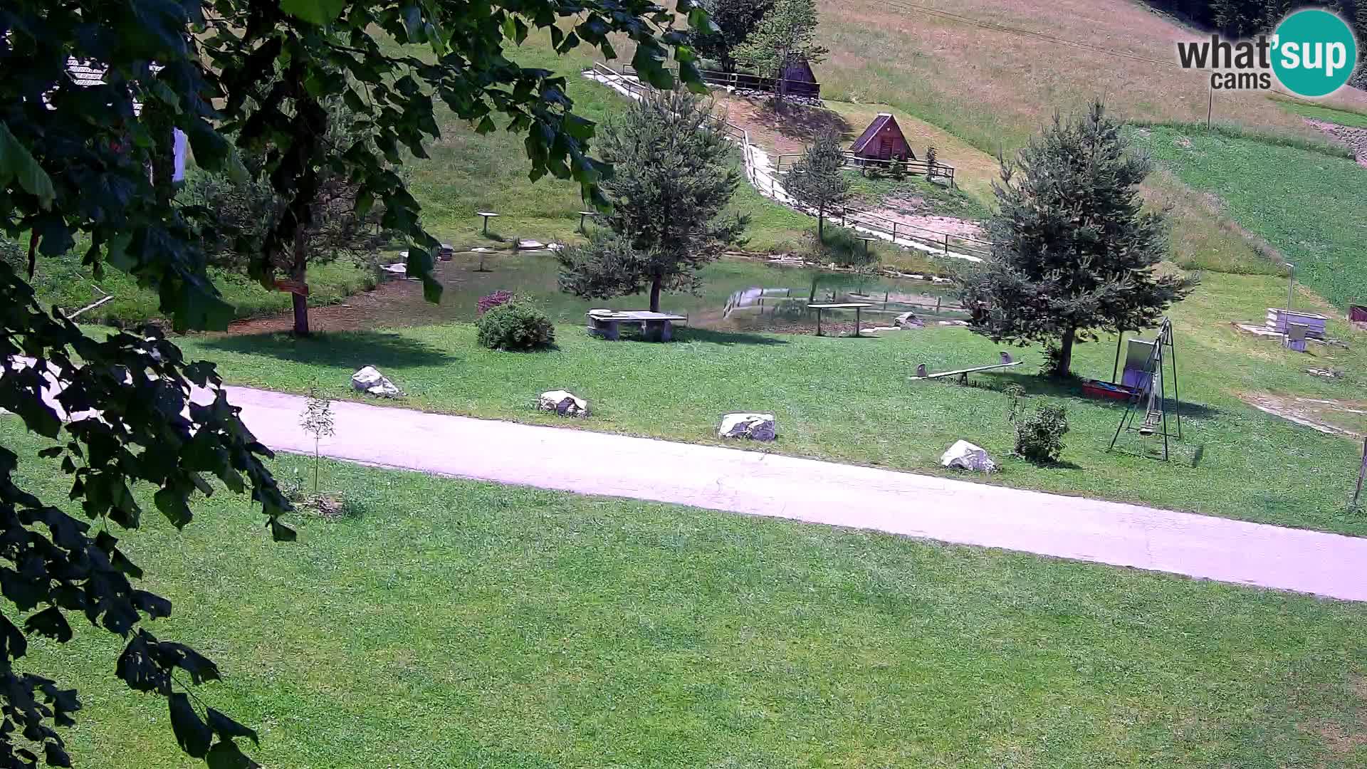 Pond at the Pr’Vrhovc Homestead Webcam