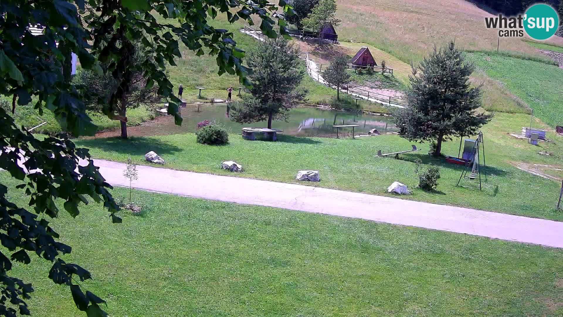Stagno presso la Fattoria turistica Pr’Vrhovc | webcam in diretta