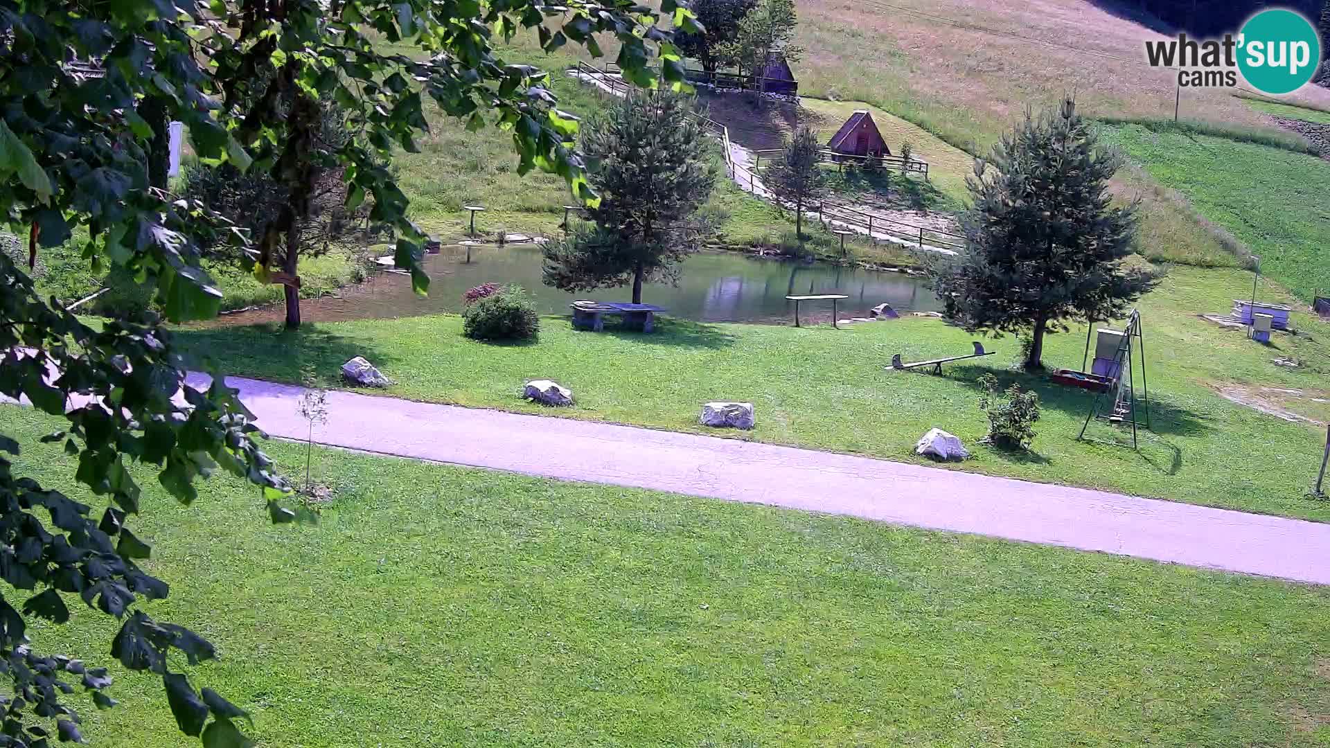 Étang à la ferme Pr’Vrhovc | Caméra en direct