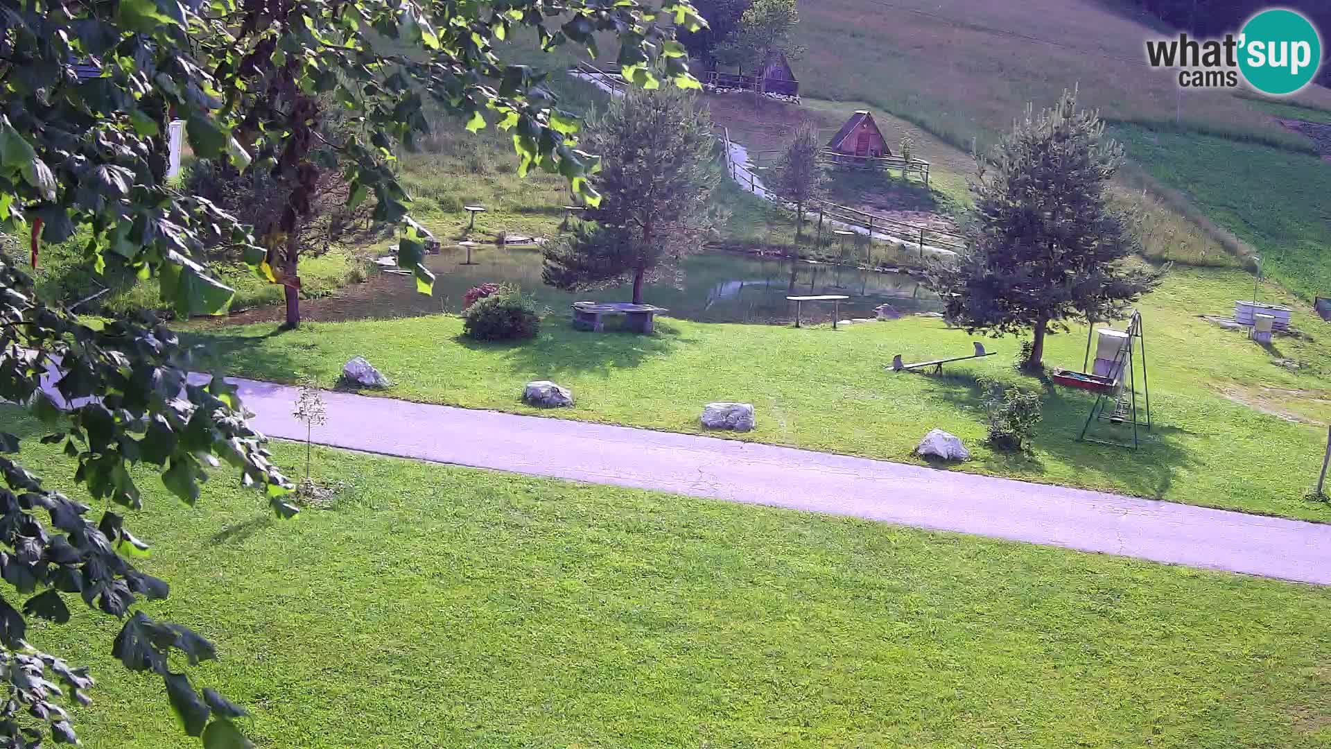 Pond at the Pr’Vrhovc Homestead Webcam