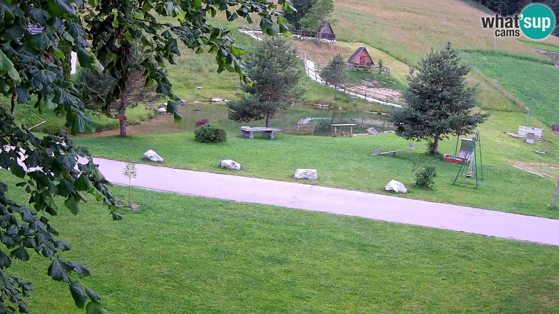 Pond at the Pr’Vrhovc Homestead Webcam