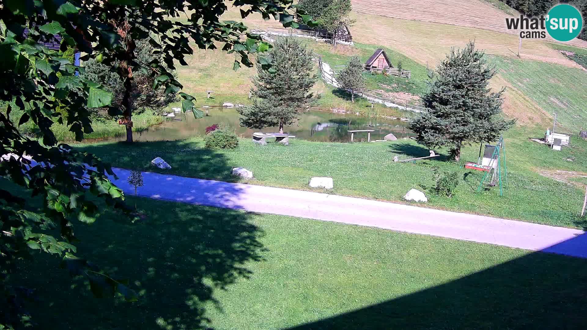 Stagno presso la Fattoria turistica Pr’Vrhovc | webcam in diretta