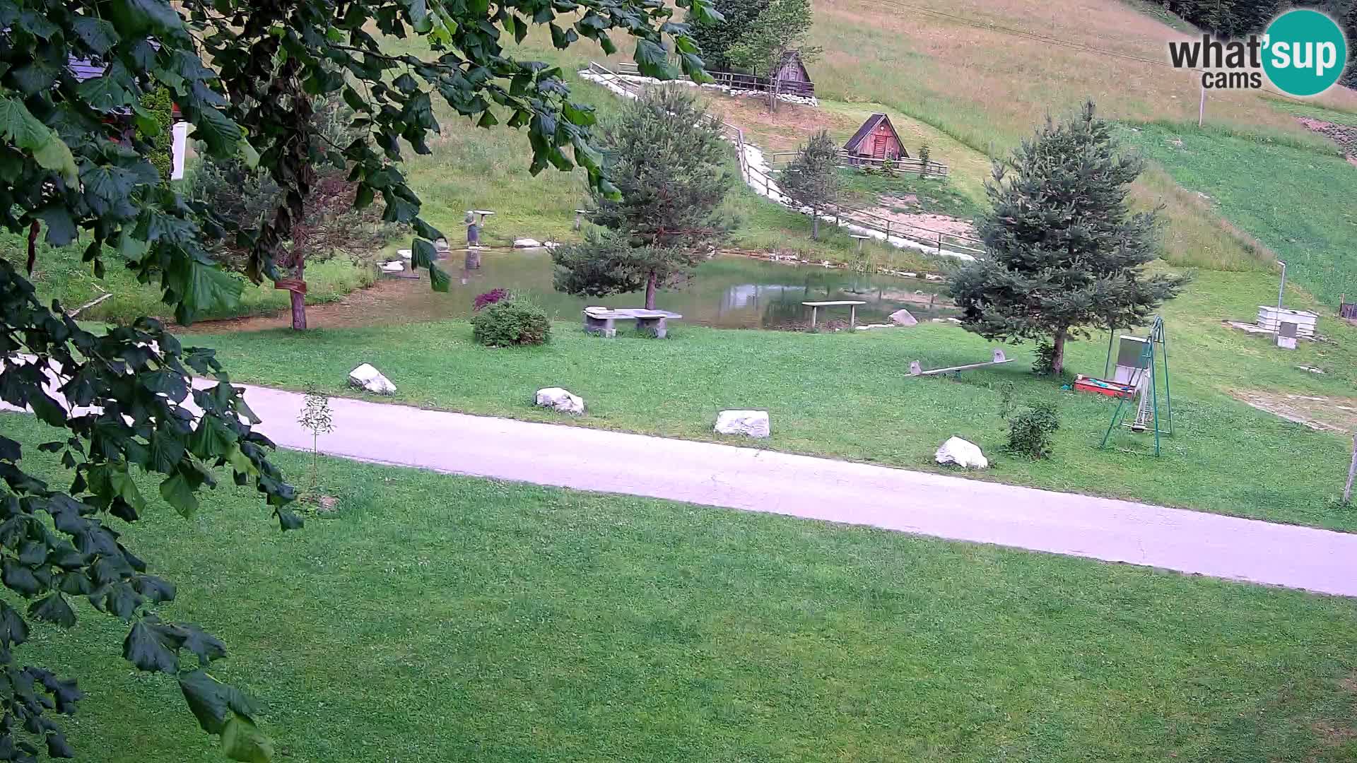 Pond at the Pr’Vrhovc Homestead Webcam