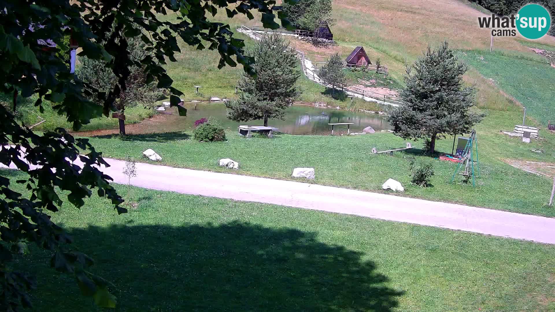 Pond at the Pr’Vrhovc Homestead Webcam