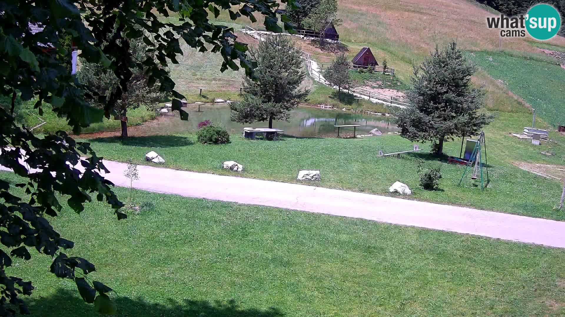 Pond at the Pr’Vrhovc Homestead Webcam
