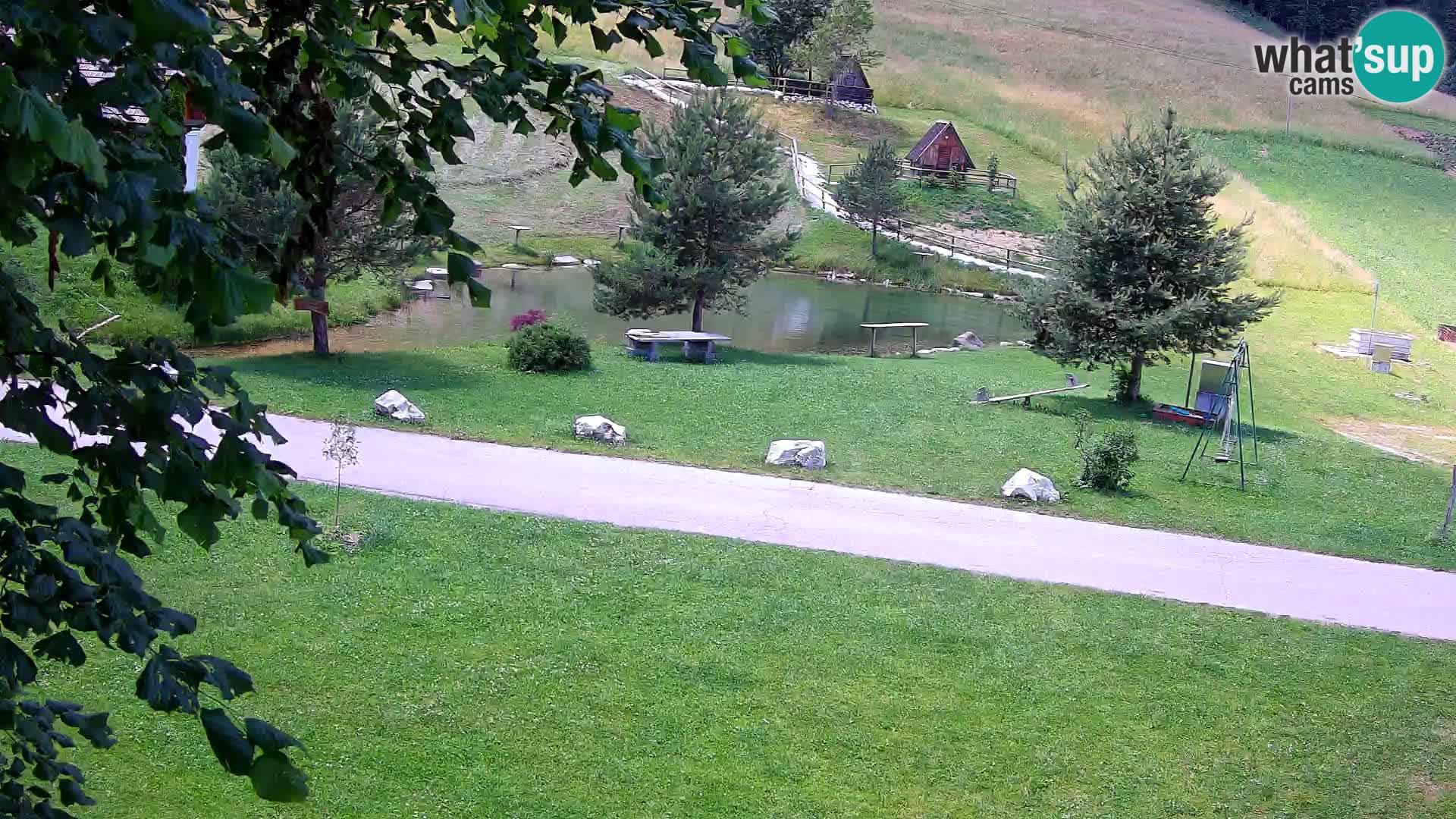 Pond at the Pr’Vrhovc Homestead Webcam