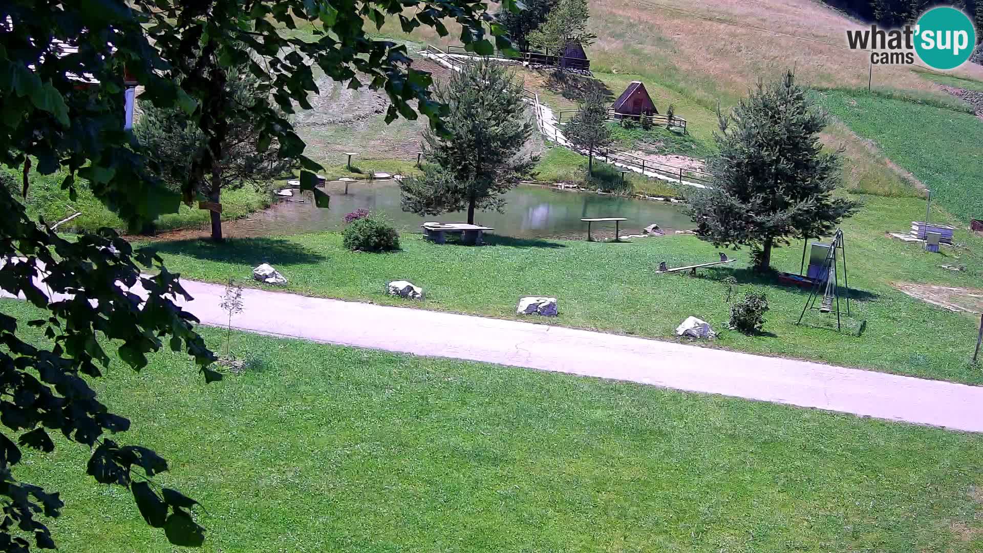 Stagno presso la Fattoria turistica Pr’Vrhovc | webcam in diretta