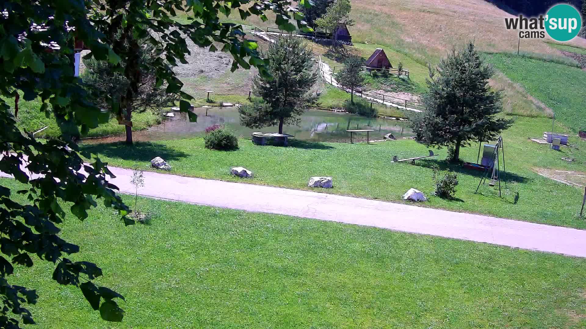 Pond at the Pr’Vrhovc Homestead Webcam