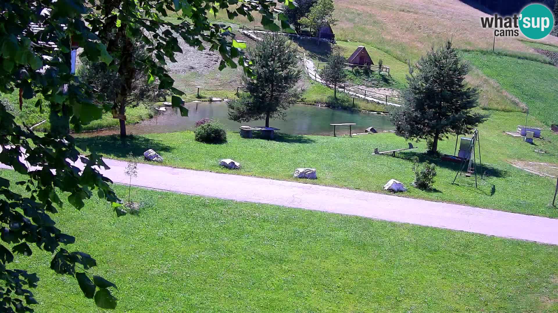 Stagno presso la Fattoria turistica Pr’Vrhovc | webcam in diretta