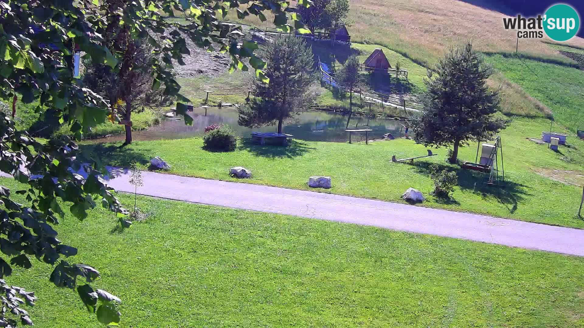 Stagno presso la Fattoria turistica Pr’Vrhovc | webcam in diretta