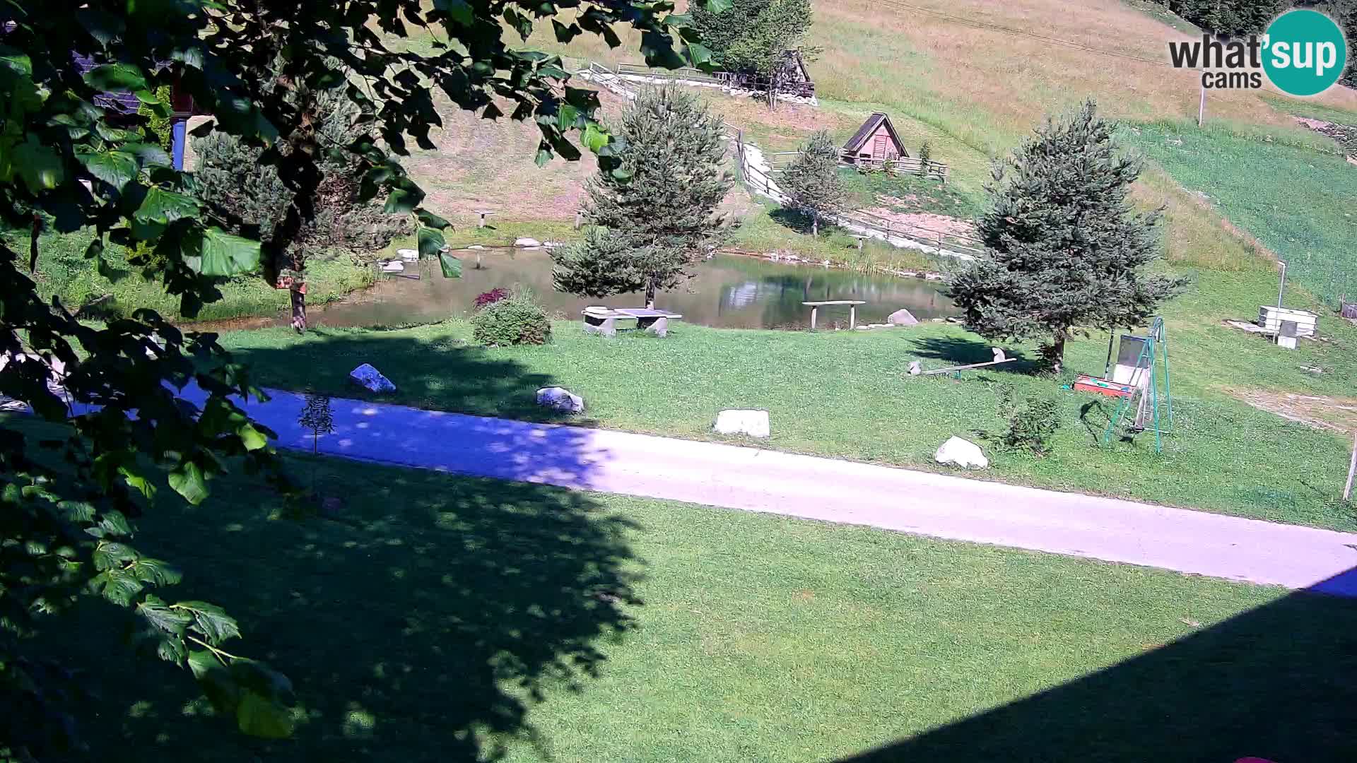Pond at the Pr’Vrhovc Homestead Webcam