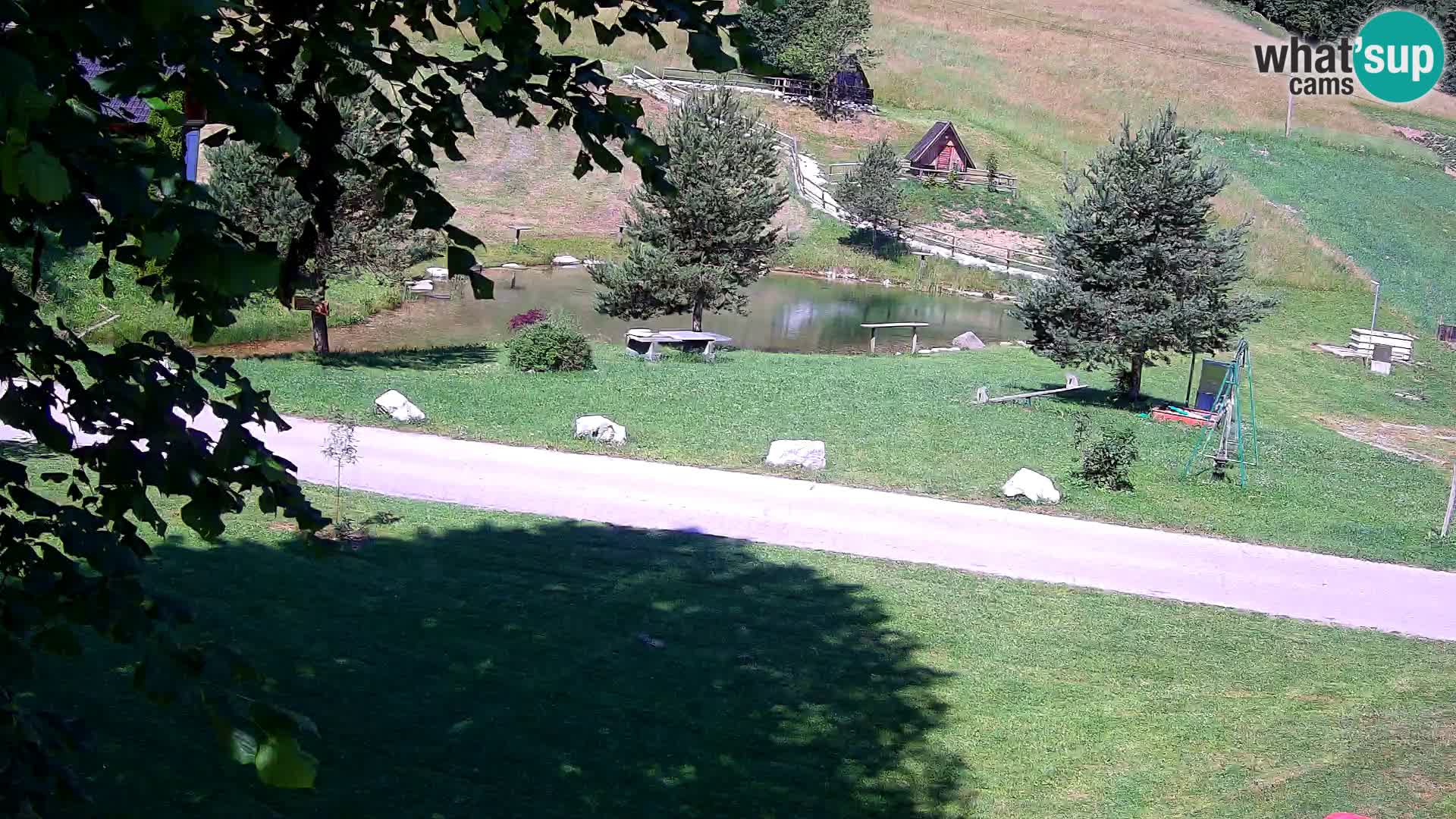 Ribnjak na domaćinstvu Pr’Vrhovc | Web kamera