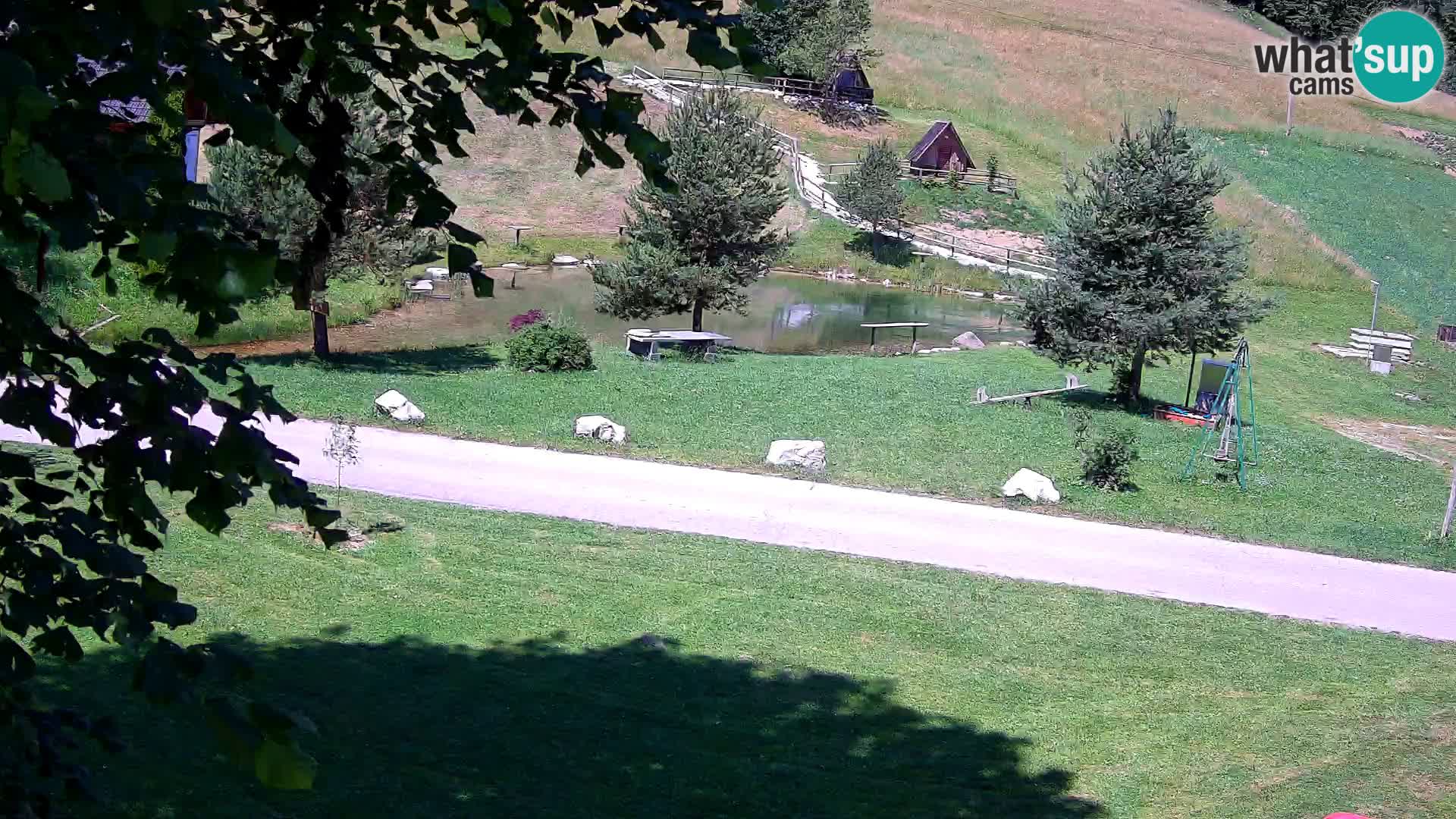 Stagno presso la Fattoria turistica Pr’Vrhovc | webcam in diretta