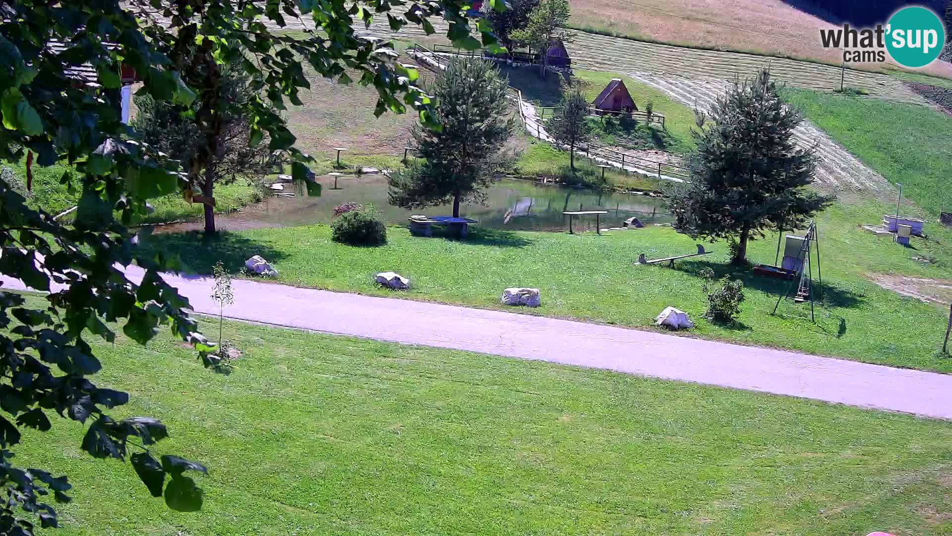 Stagno presso la Fattoria turistica Pr’Vrhovc | webcam in diretta