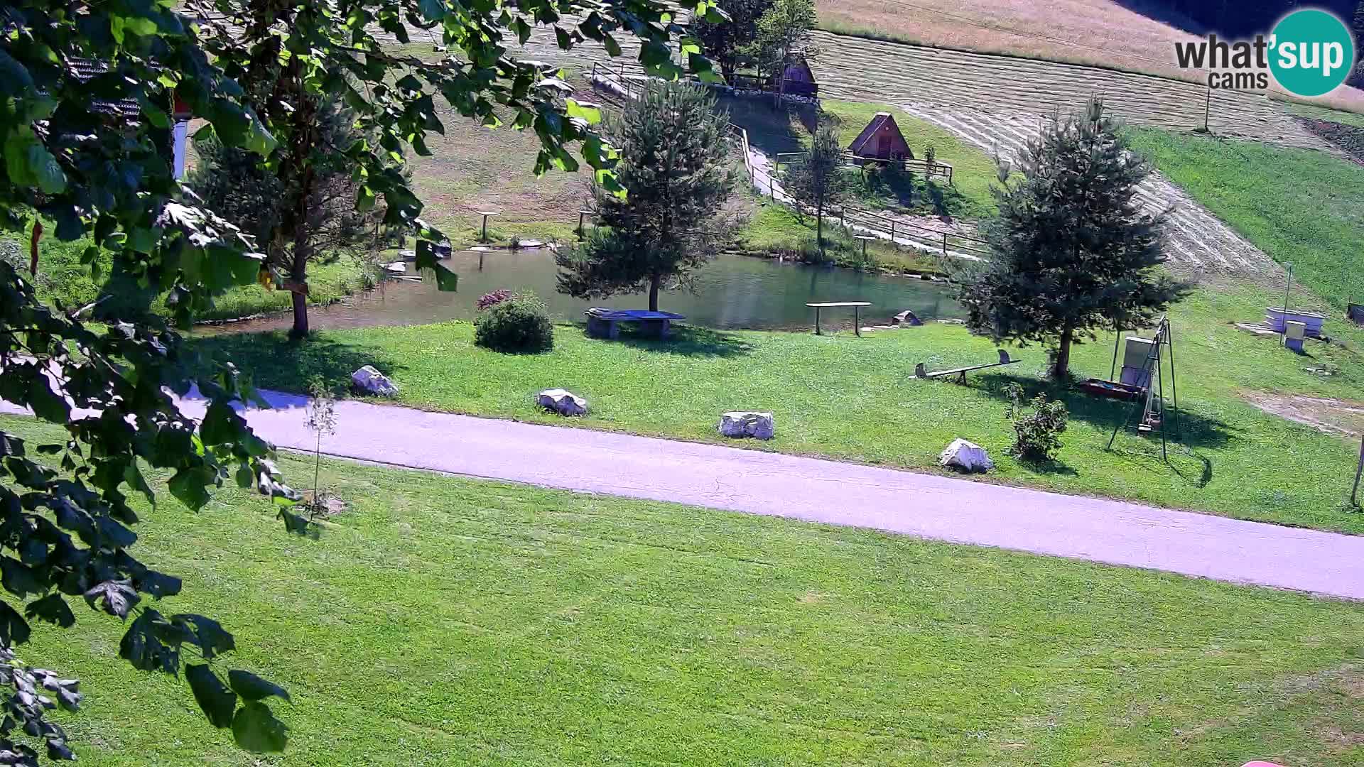 Teich auf dem Bauernhof Pr’Vrhovc | Webkamera