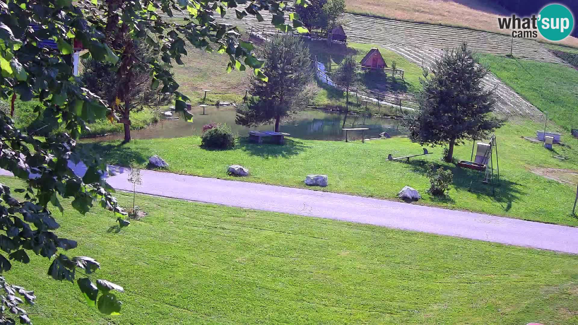 Pond at the Pr’Vrhovc Homestead Webcam