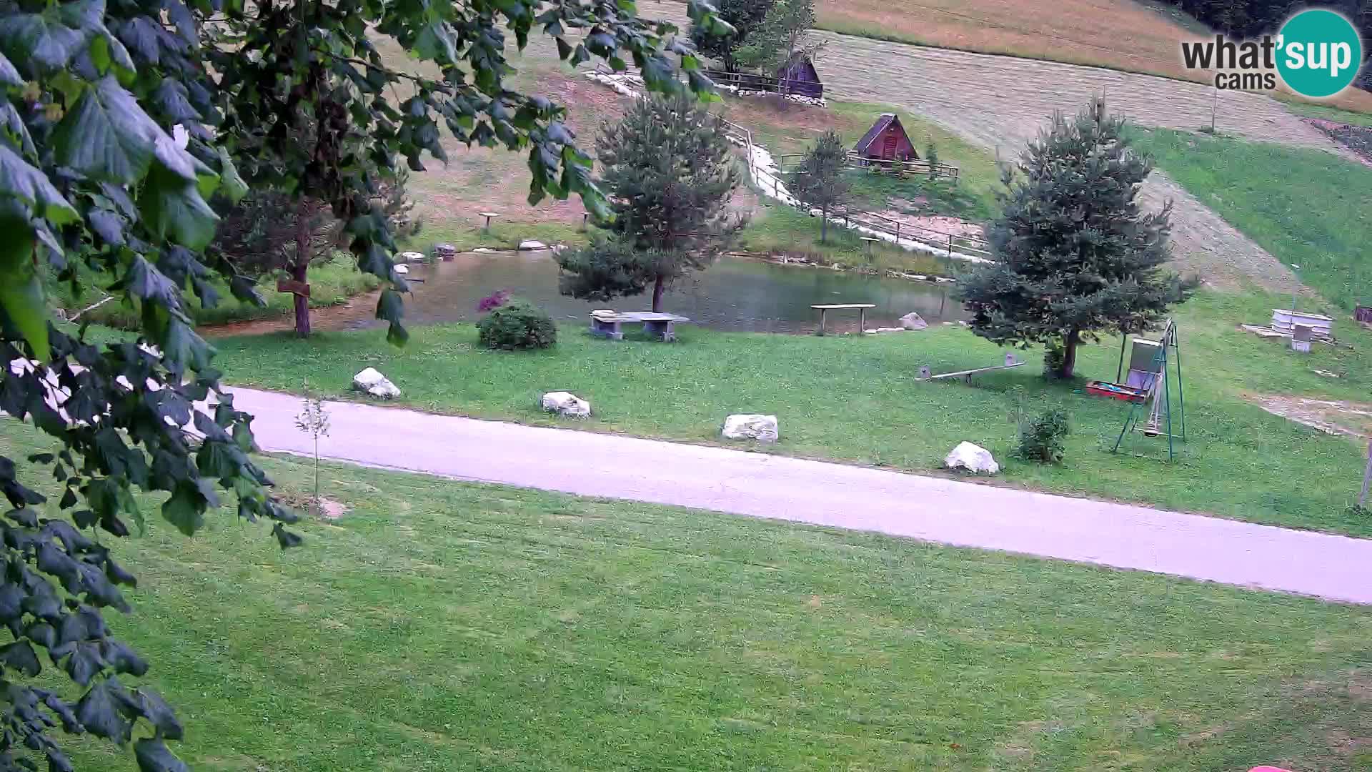 Étang à la ferme Pr’Vrhovc | Caméra en direct