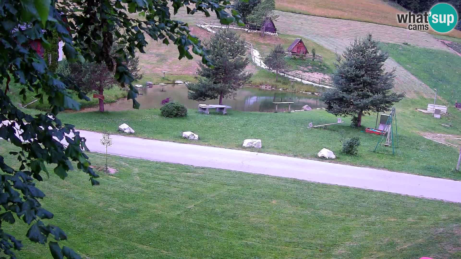 Teich auf dem Bauernhof Pr’Vrhovc | Webkamera