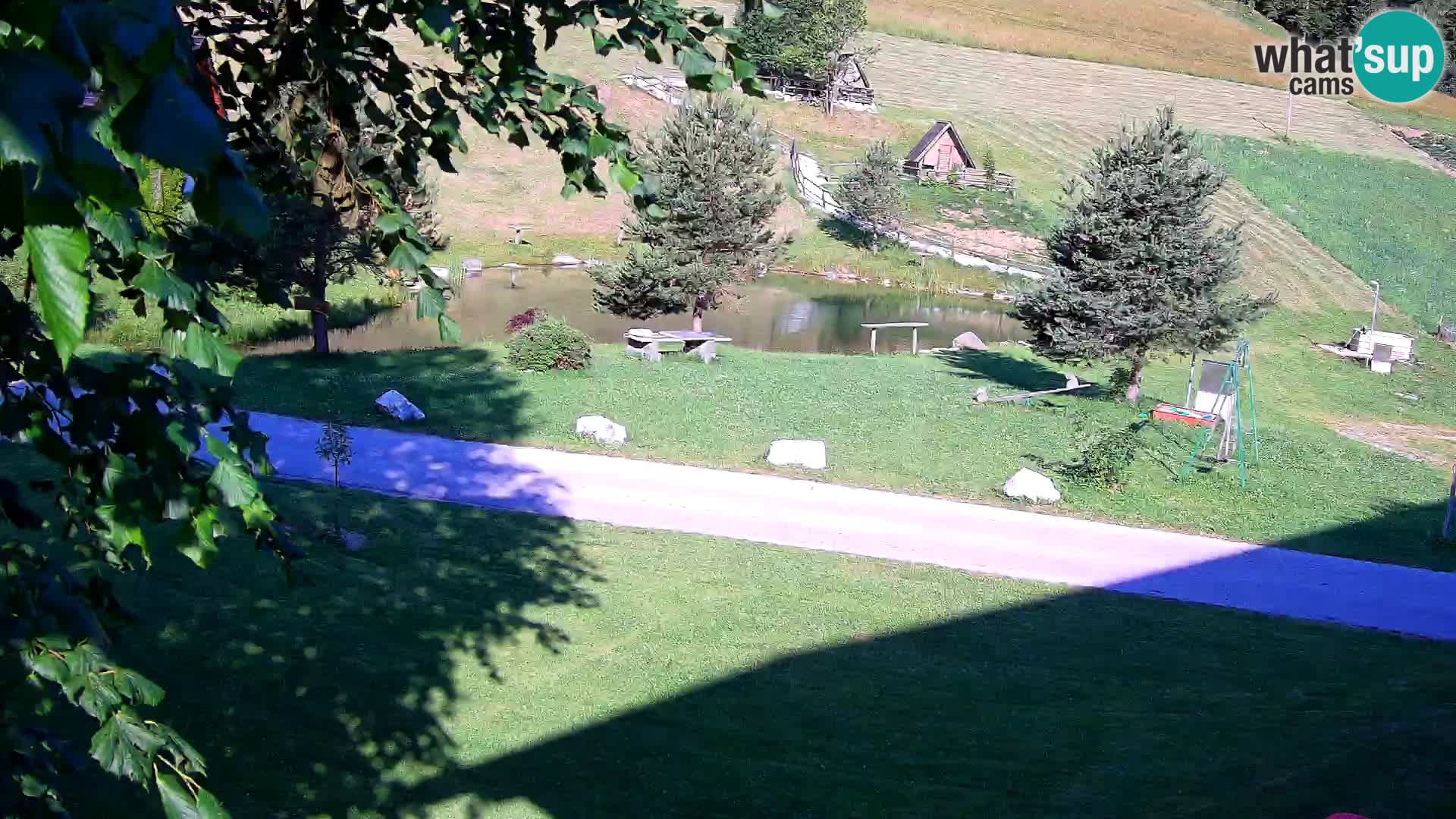 Pond at the Pr’Vrhovc Homestead Webcam