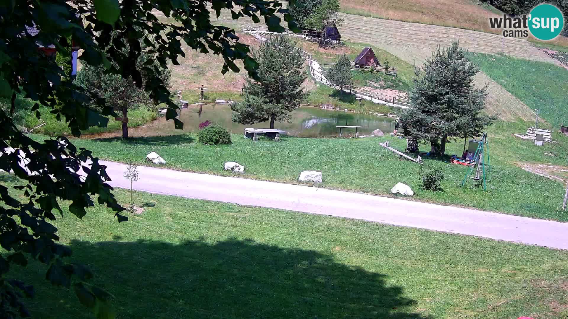 Teich auf dem Bauernhof Pr’Vrhovc | Webkamera