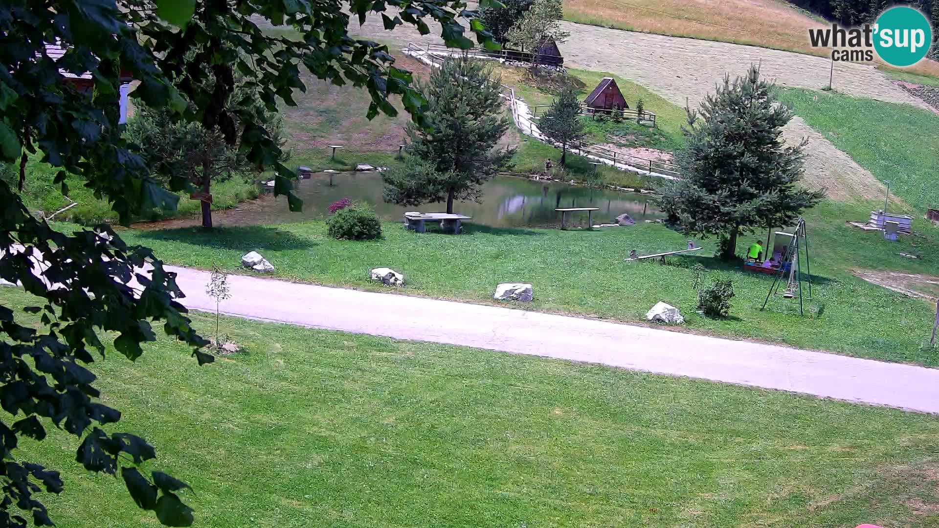 Teich auf dem Bauernhof Pr’Vrhovc | Webkamera