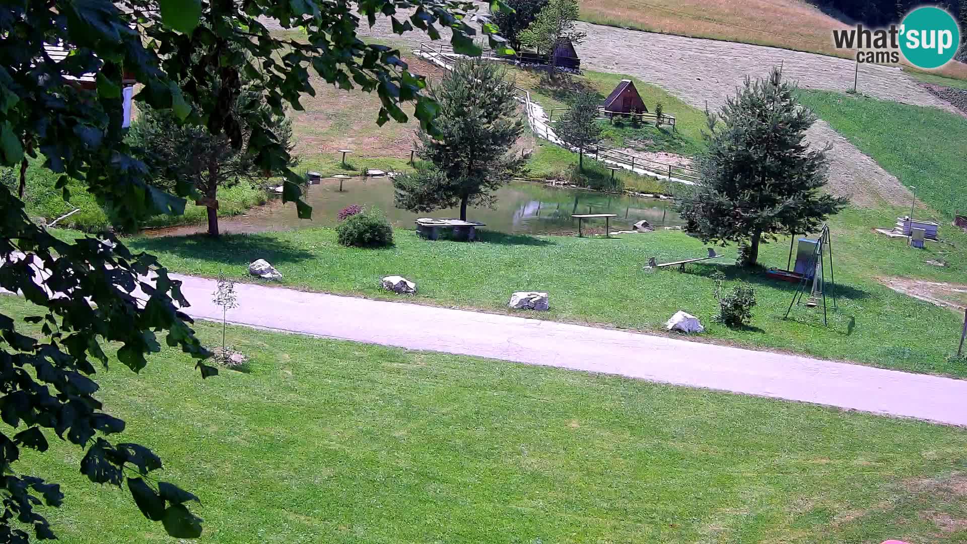 Pond at the Pr’Vrhovc Homestead Webcam