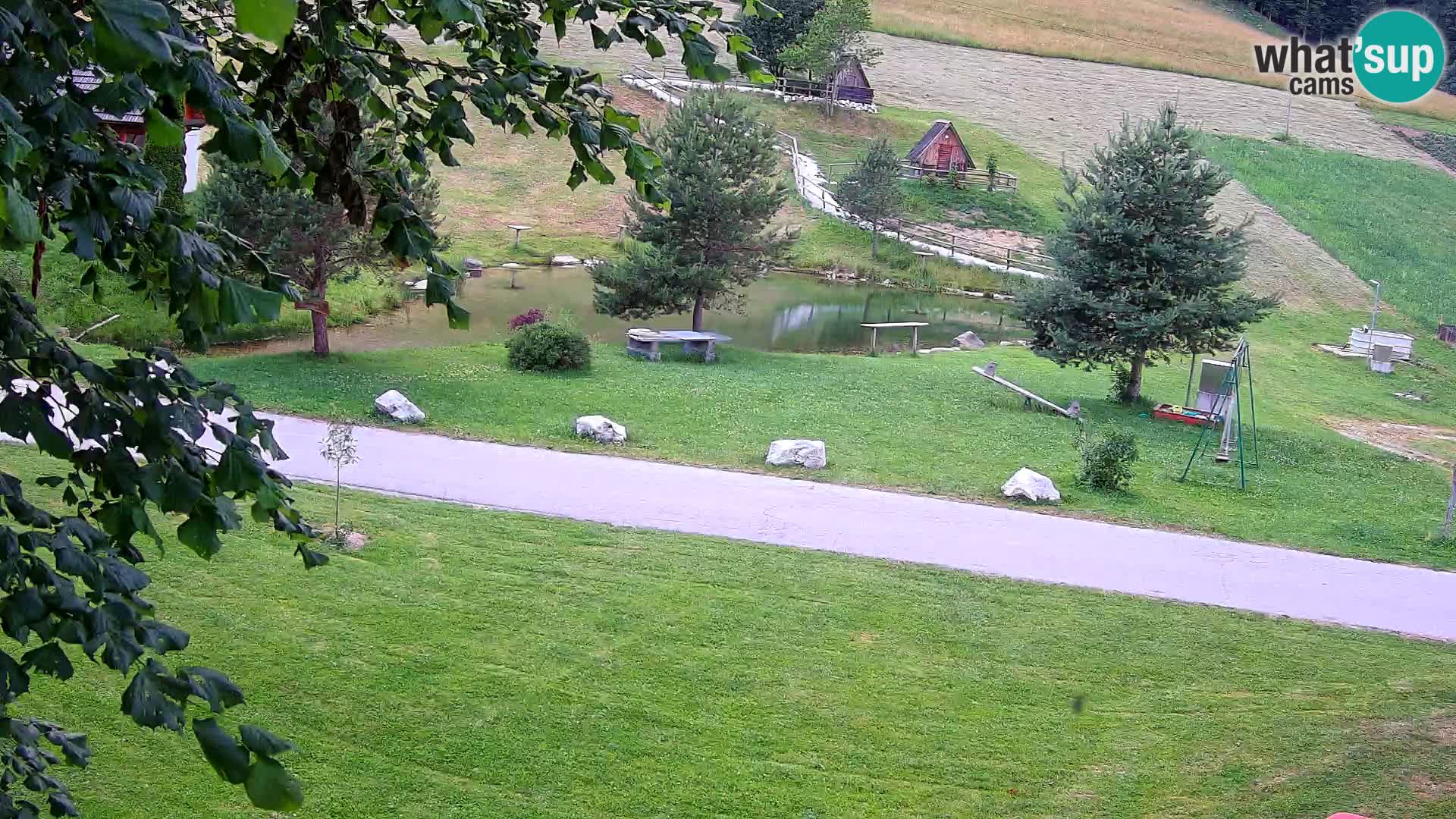 Pond at the Pr’Vrhovc Homestead Webcam