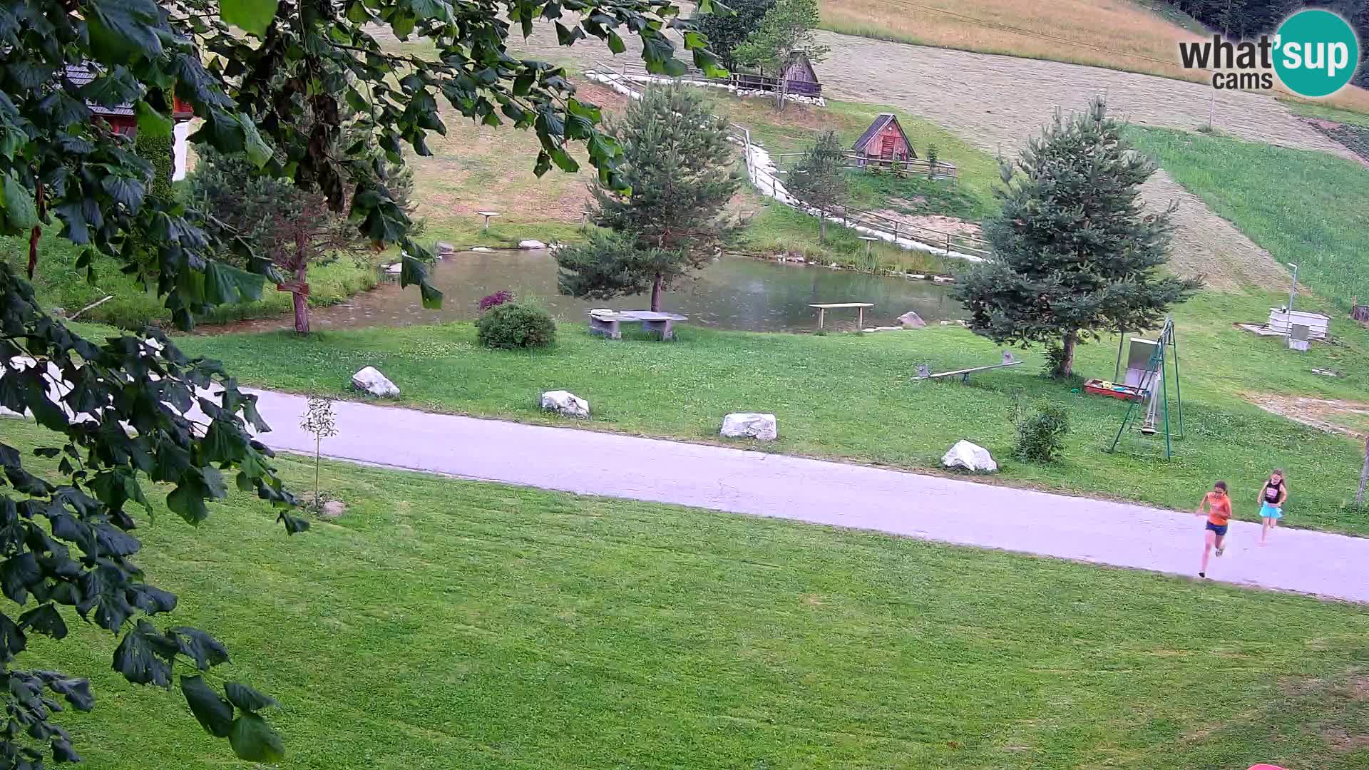 Teich auf dem Bauernhof Pr’Vrhovc | Webkamera