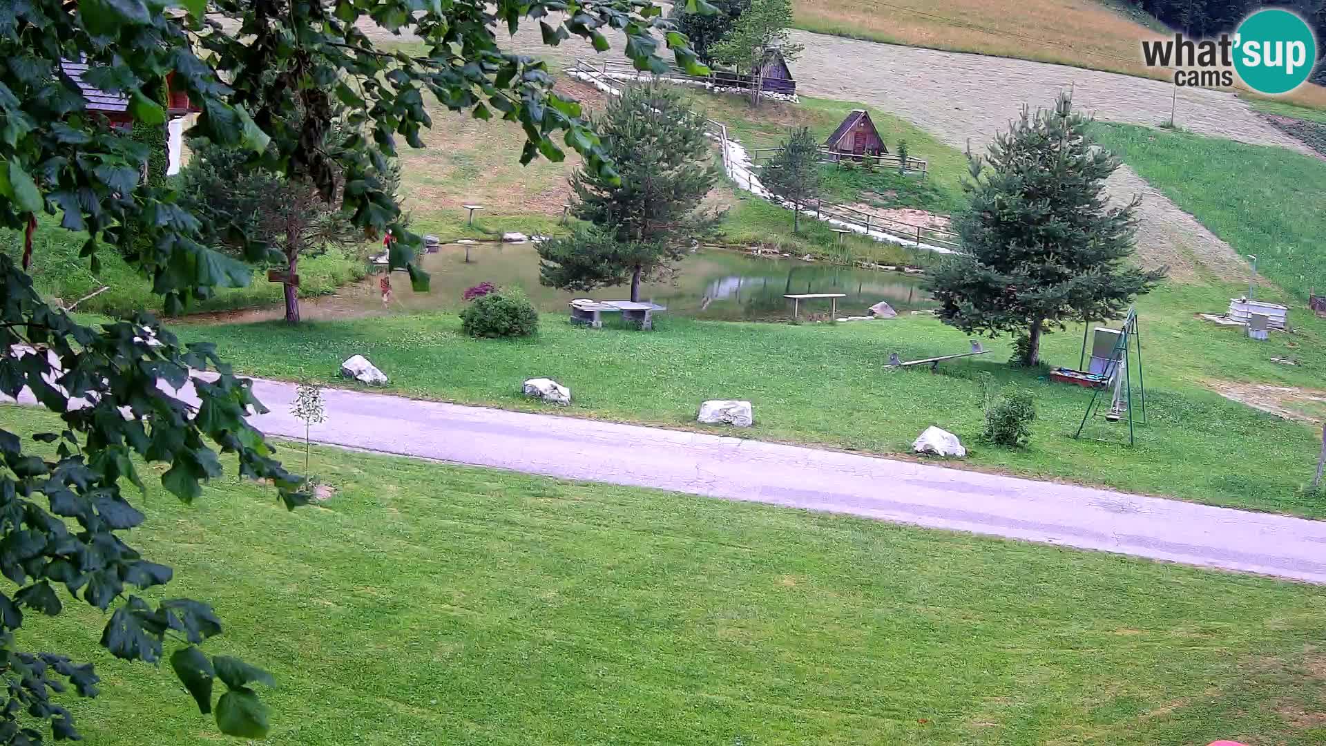 Pond at the Pr’Vrhovc Homestead Webcam