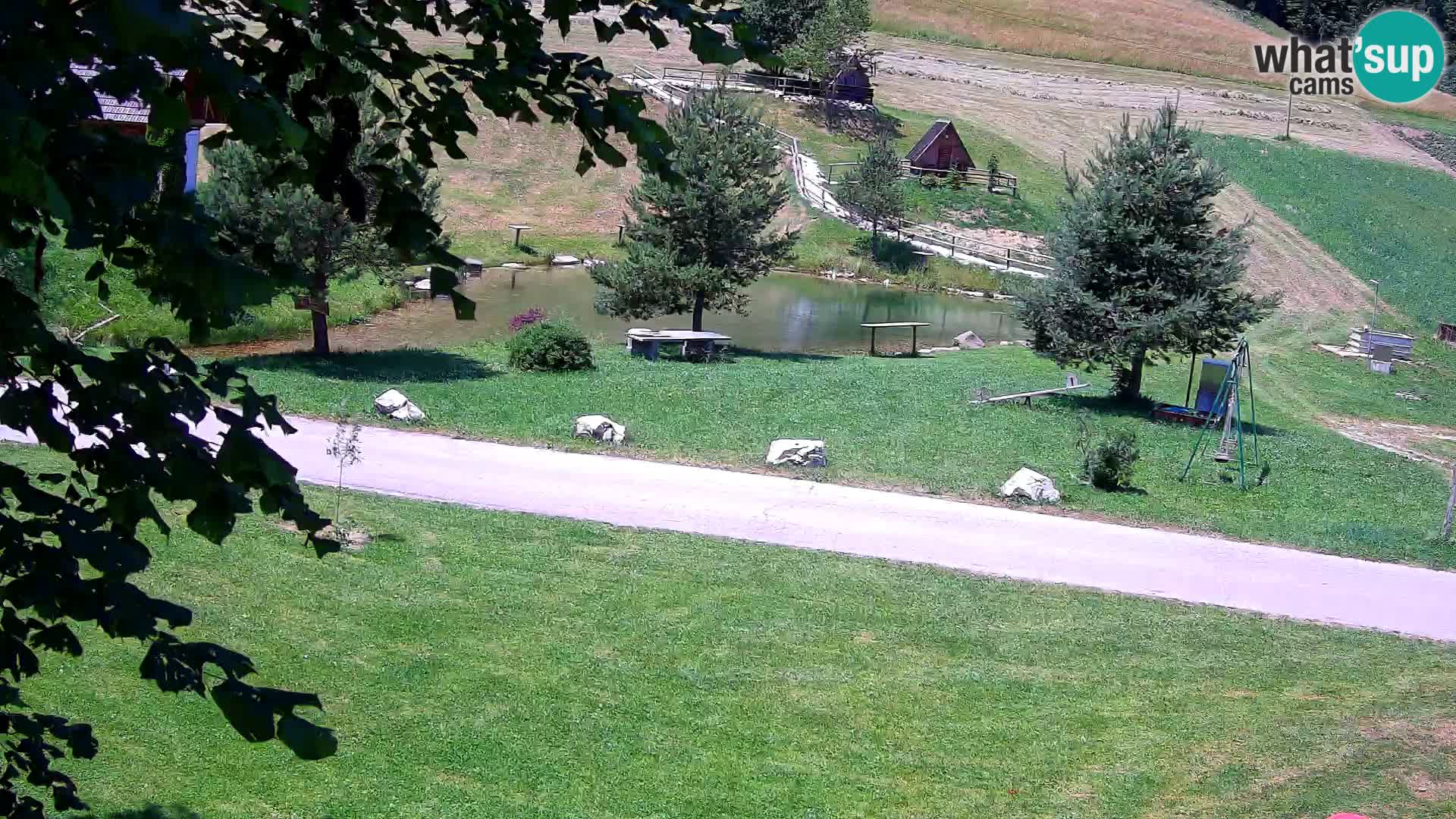 Teich auf dem Bauernhof Pr’Vrhovc | Webkamera