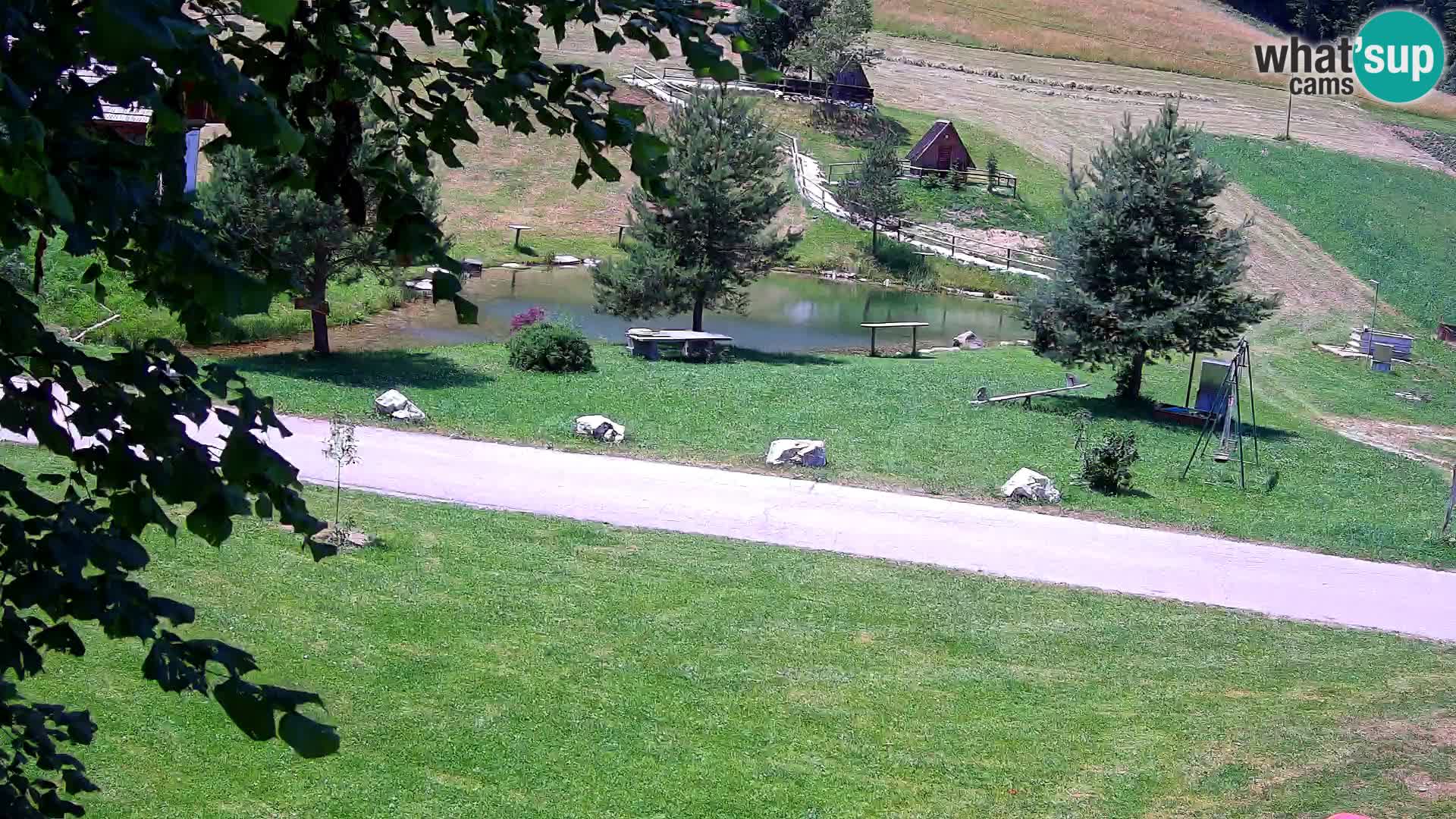 Étang à la ferme Pr’Vrhovc | Caméra en direct