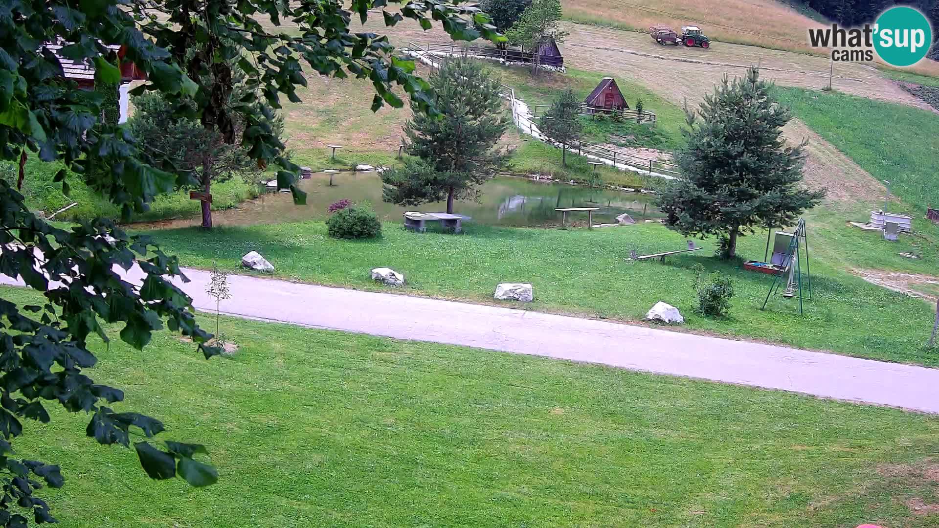 Teich auf dem Bauernhof Pr’Vrhovc | Webkamera