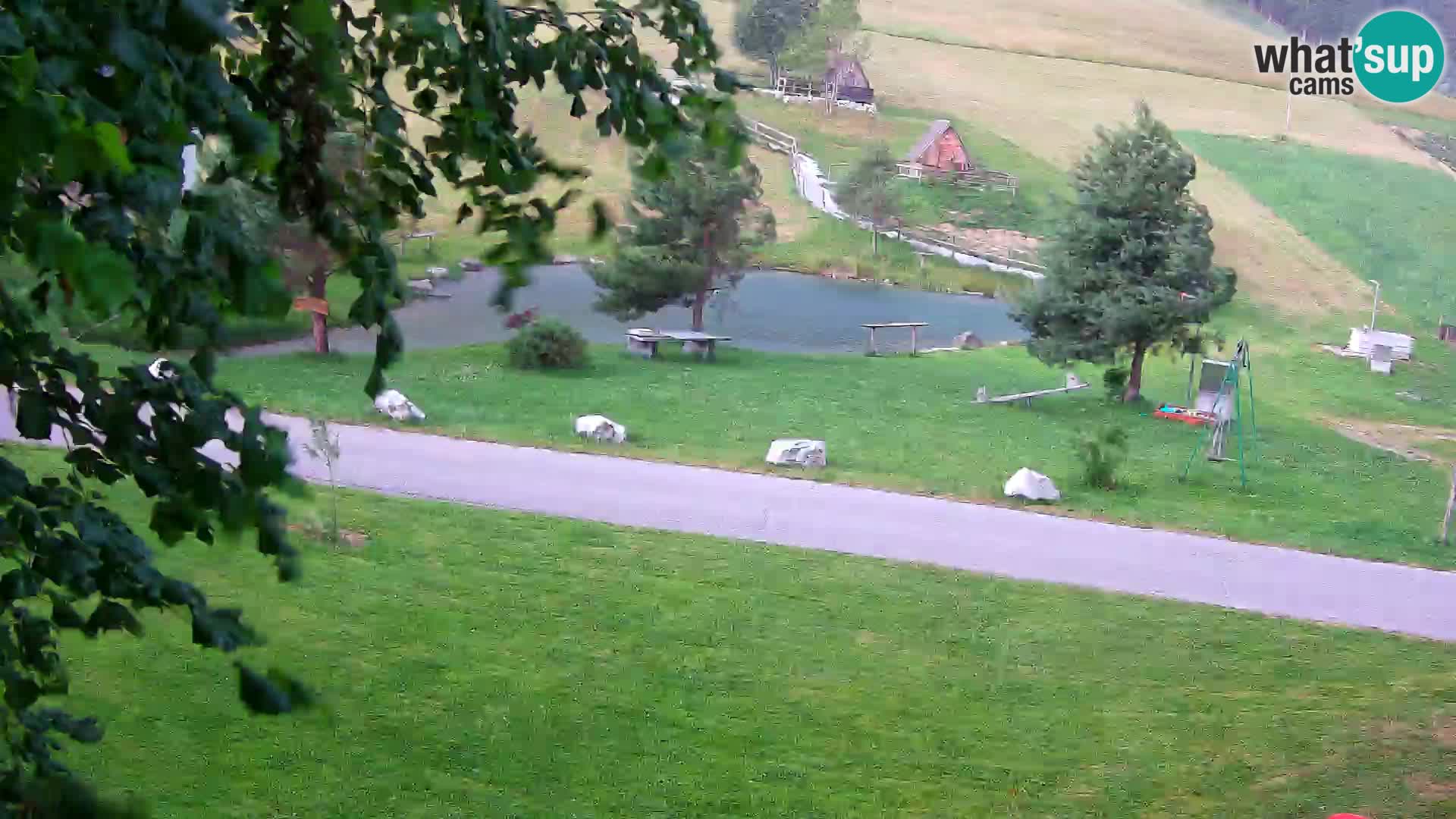 Pond at the Pr’Vrhovc Homestead Webcam