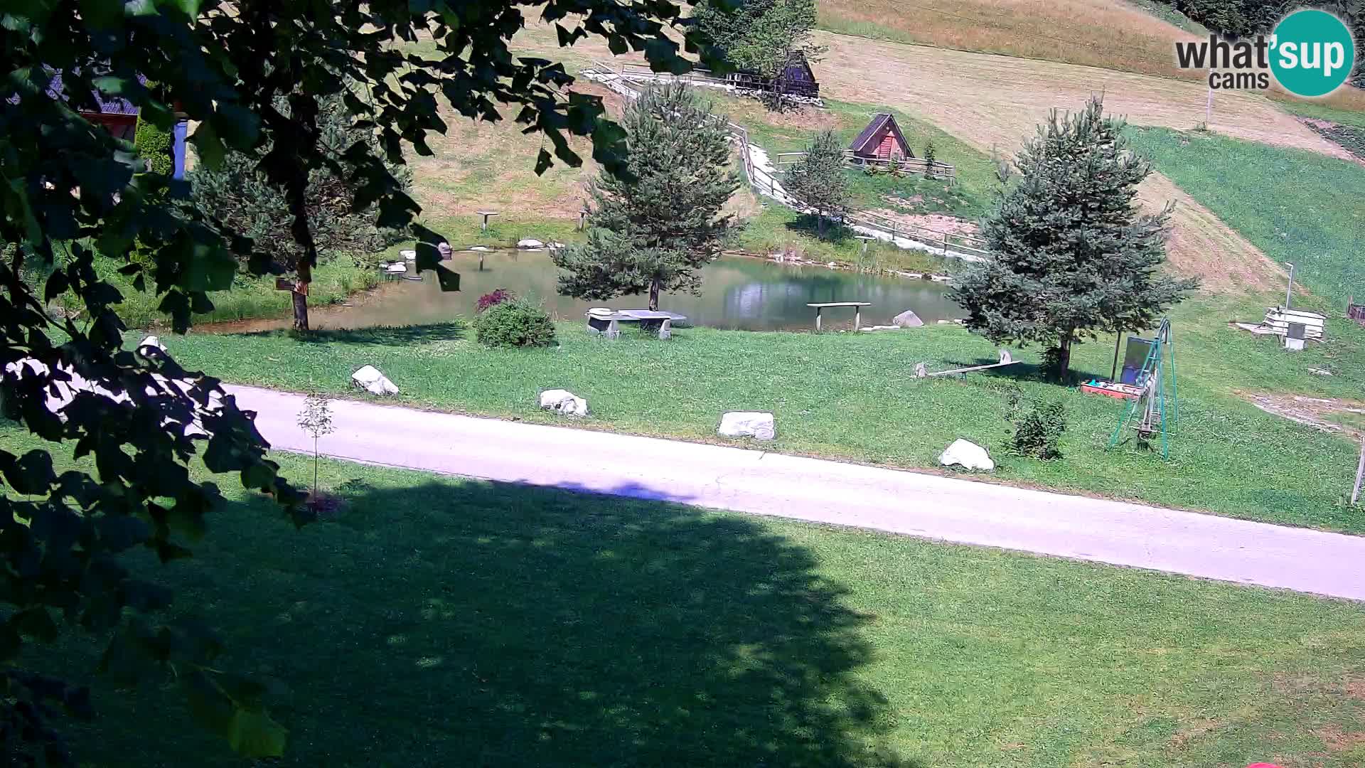 Pond at the Pr’Vrhovc Homestead Webcam