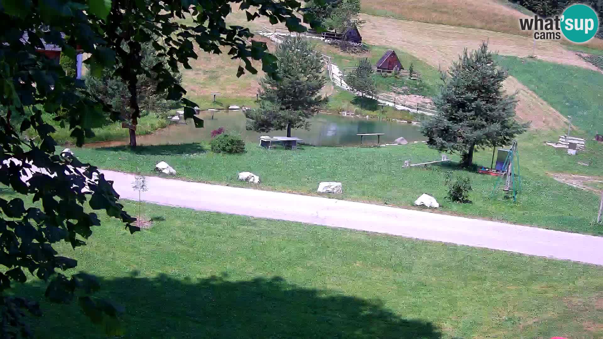Pond at the Pr’Vrhovc Homestead Webcam