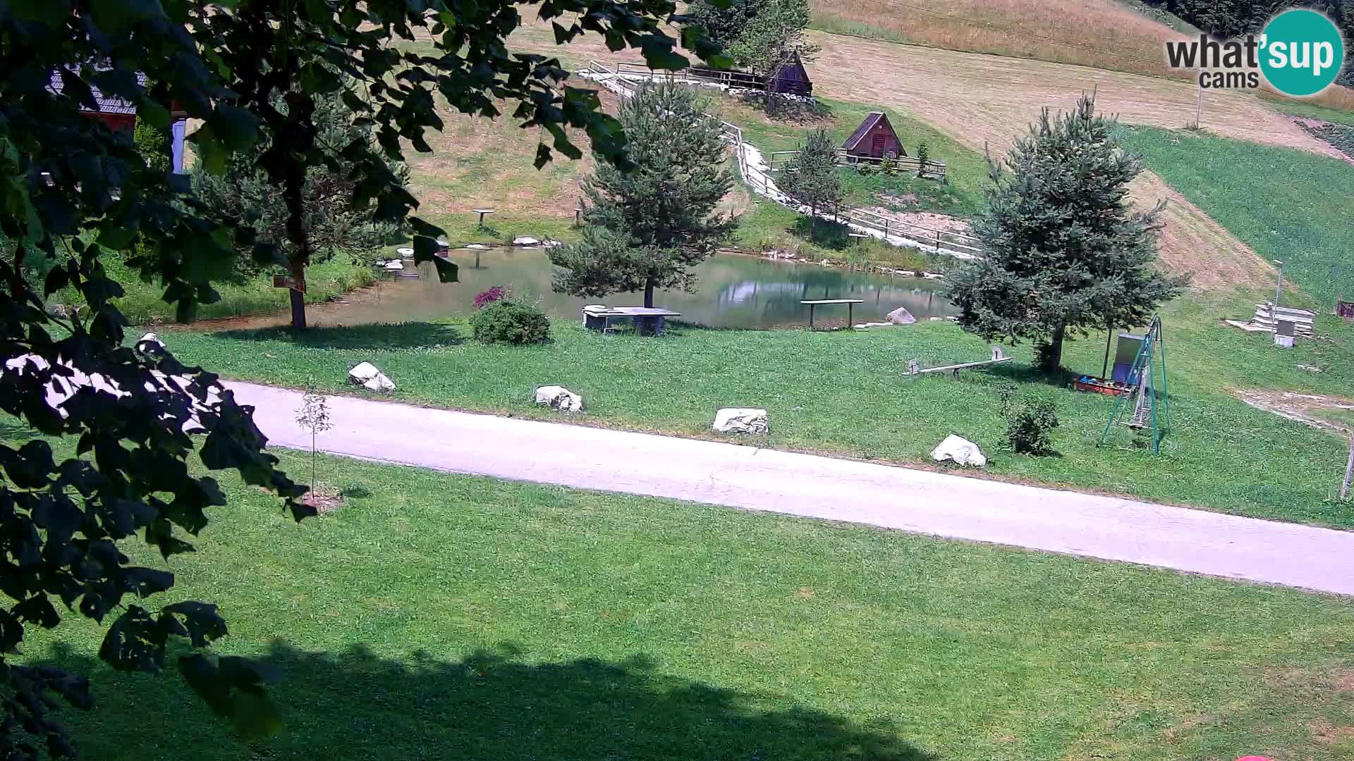 Étang à la ferme Pr’Vrhovc | Caméra en direct