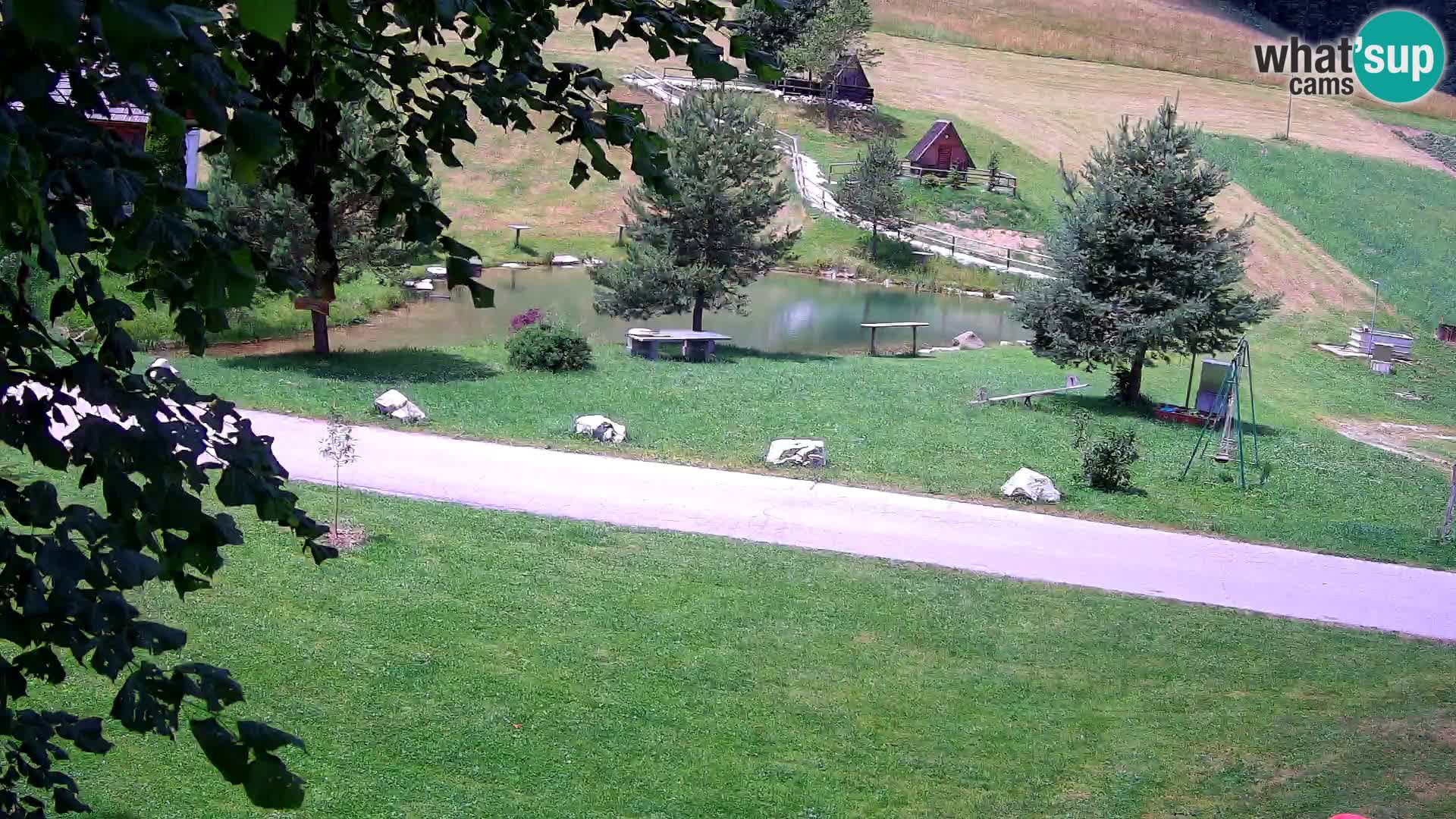 Étang à la ferme Pr’Vrhovc | Caméra en direct
