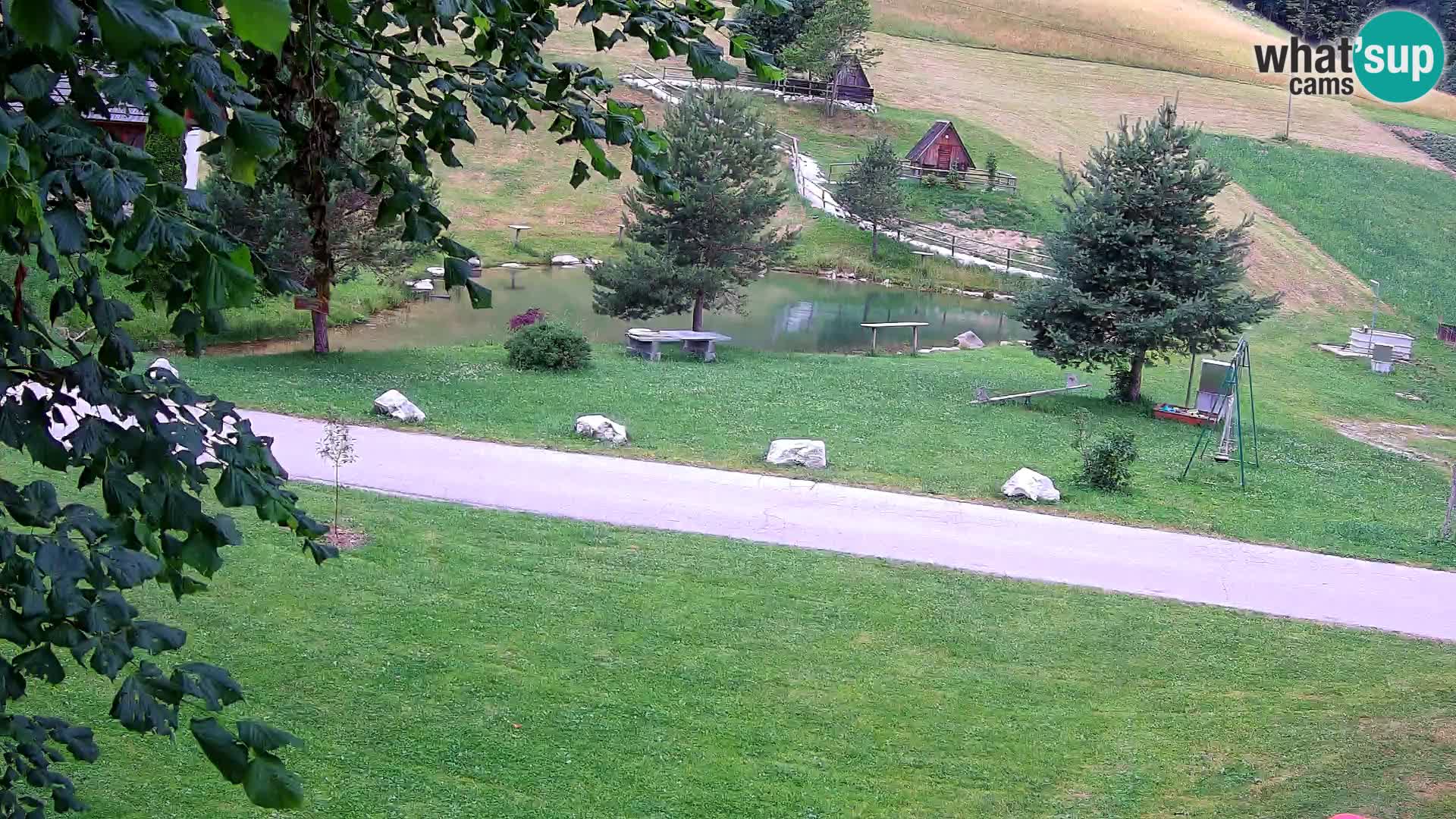 Stagno presso la Fattoria turistica Pr’Vrhovc | webcam in diretta