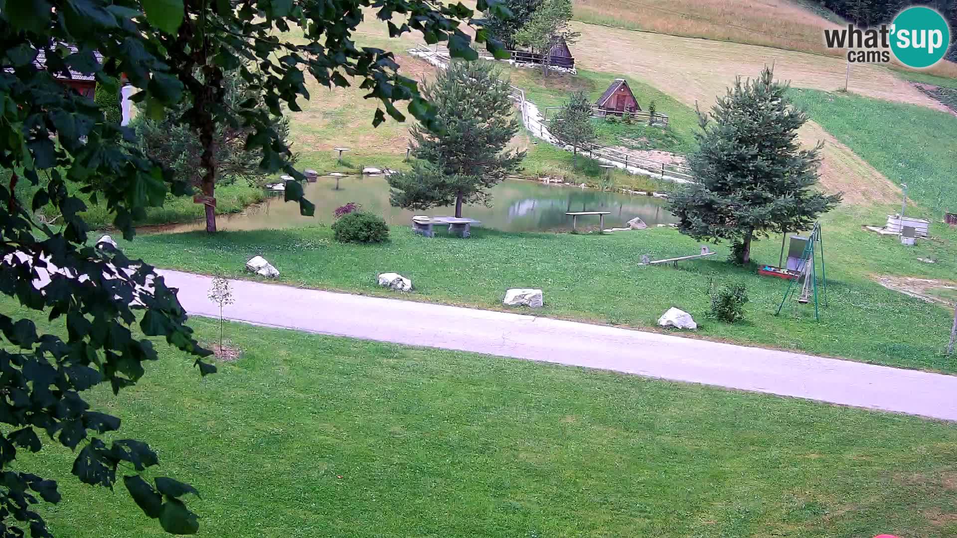 Stagno presso la Fattoria turistica Pr’Vrhovc | webcam in diretta