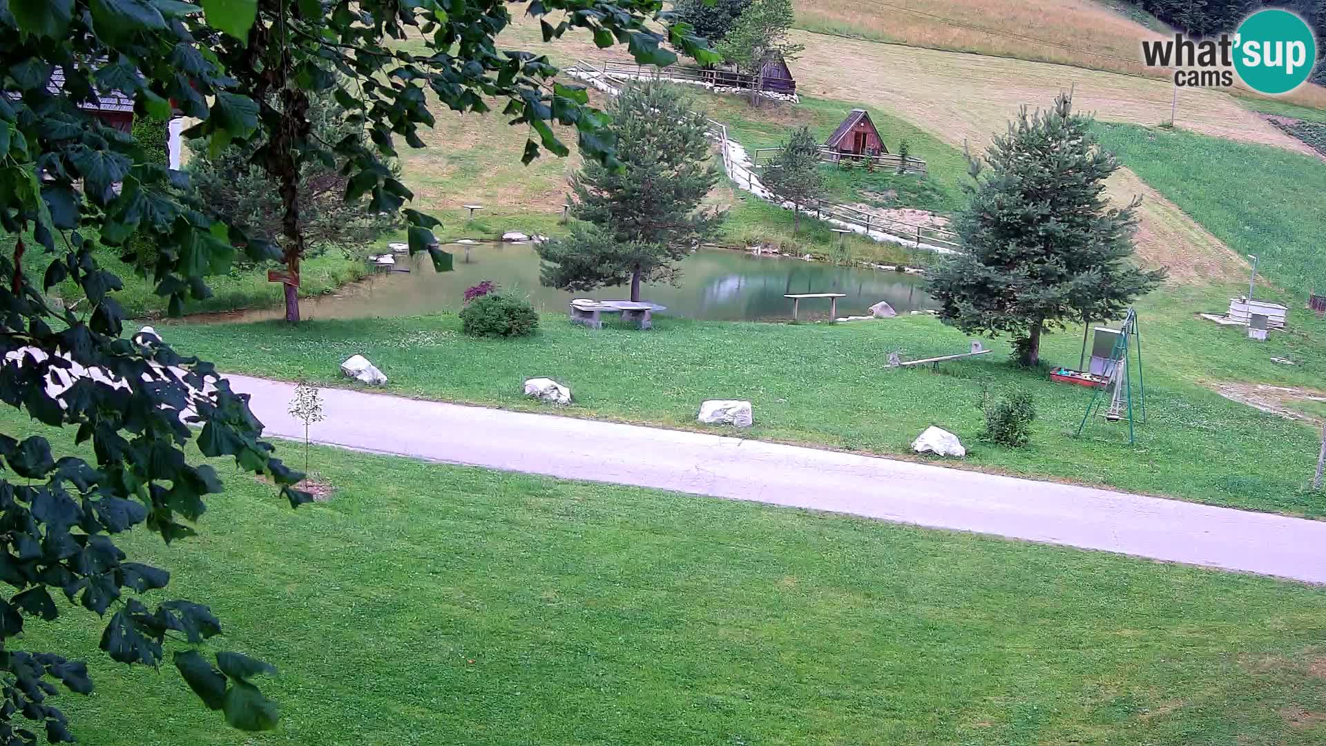 Teich auf dem Bauernhof Pr’Vrhovc | Webkamera