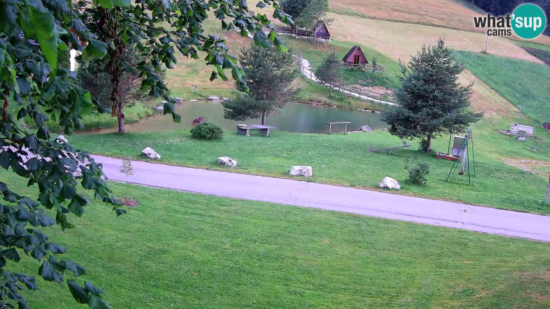 Pond at the Pr’Vrhovc Homestead Webcam