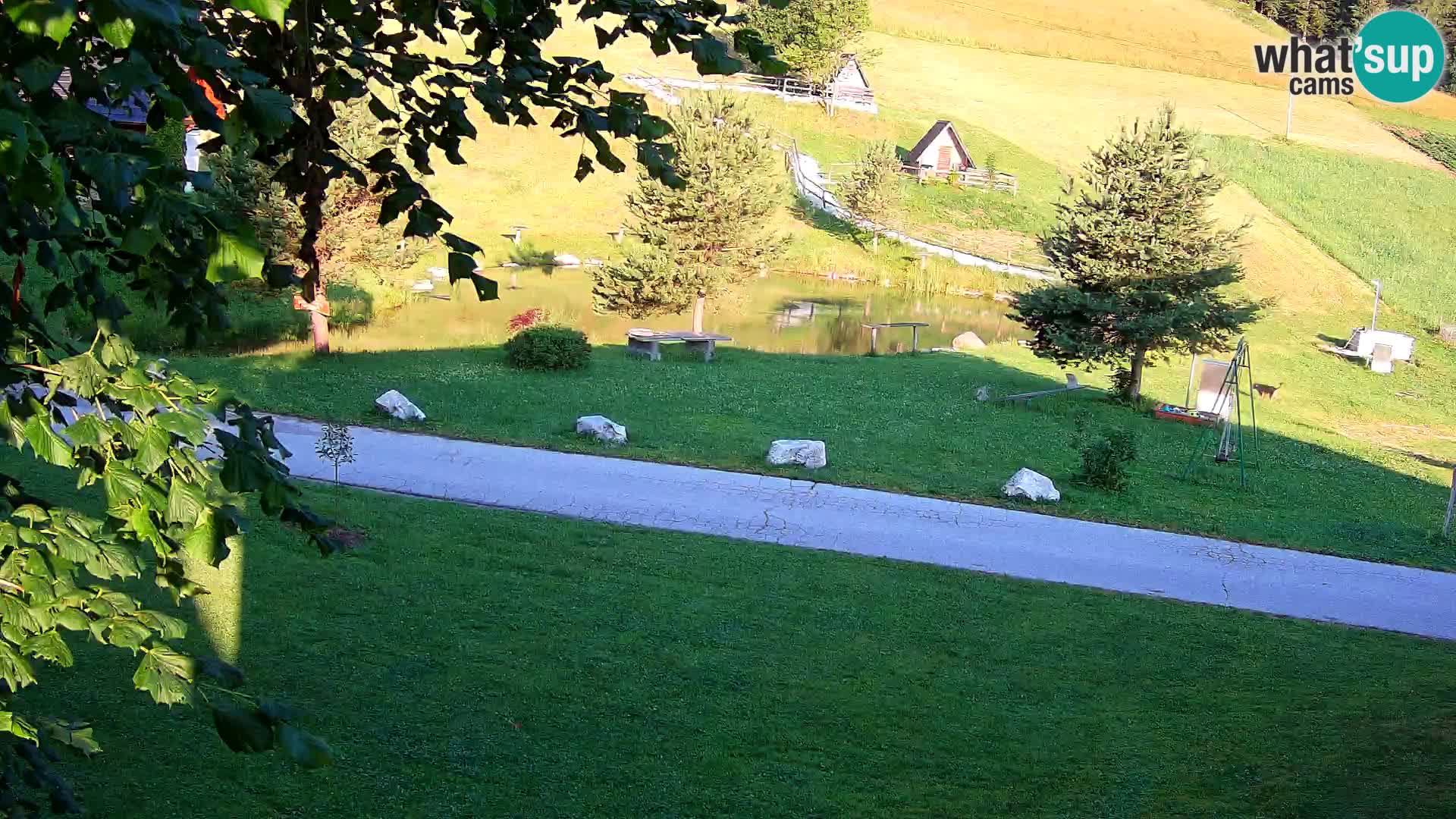 Stagno presso la Fattoria turistica Pr’Vrhovc | webcam in diretta