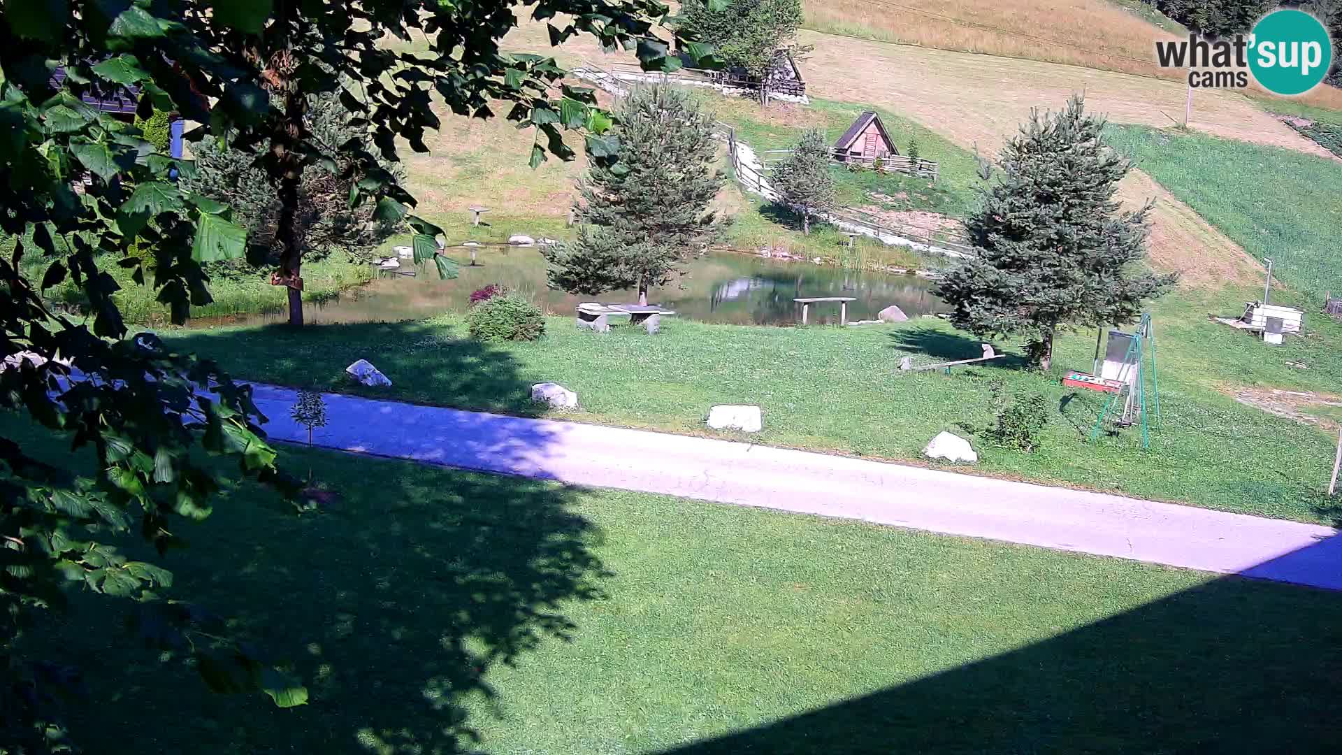 Stagno presso la Fattoria turistica Pr’Vrhovc | webcam in diretta