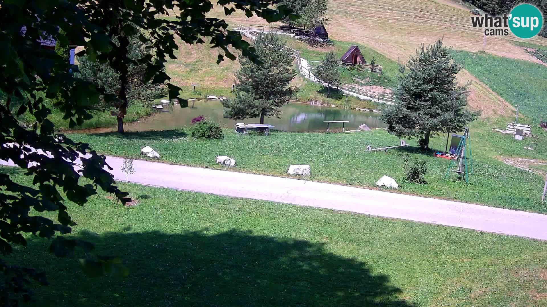 Pond at the Pr’Vrhovc Homestead Webcam