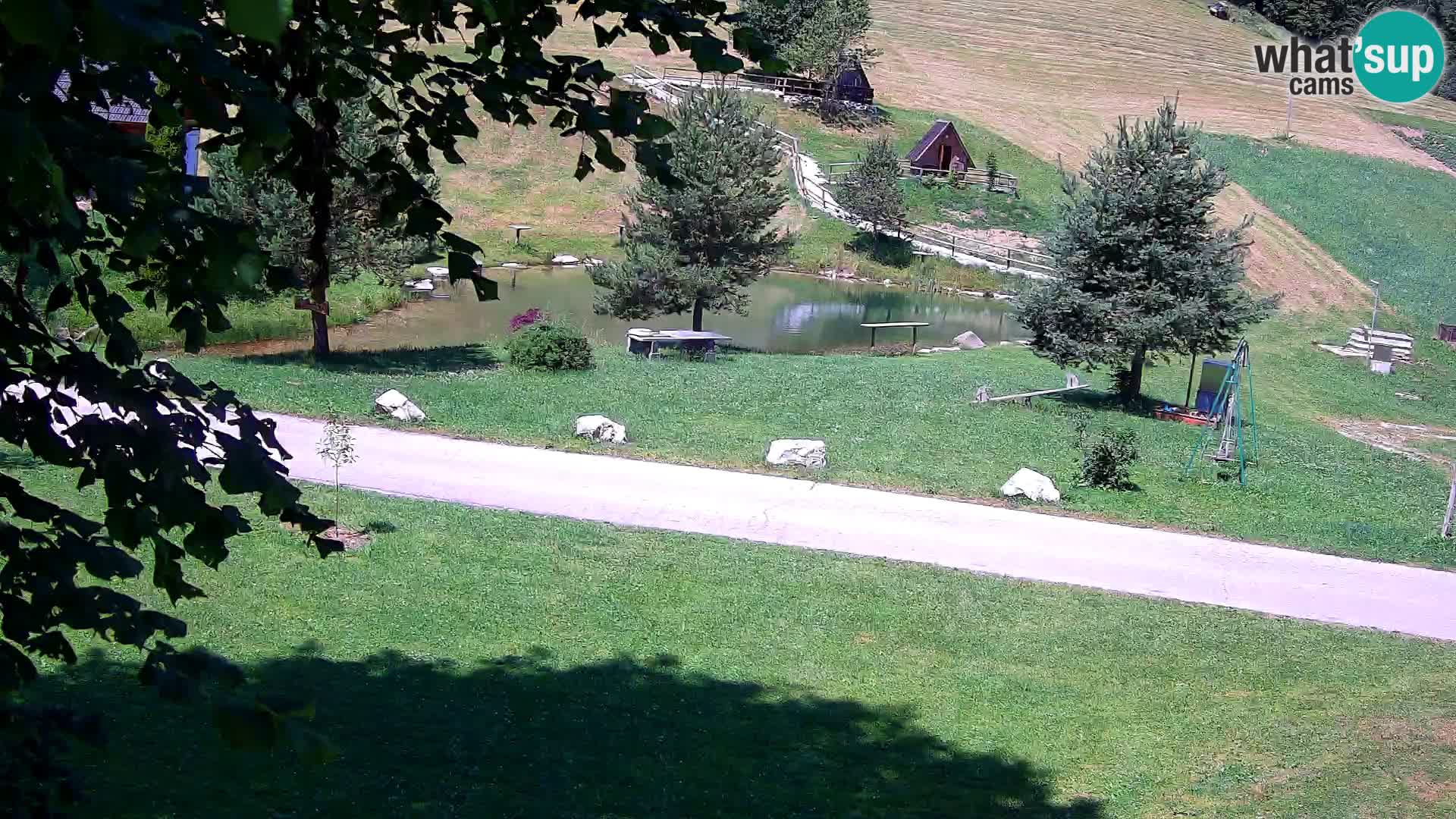 Pond at the Pr’Vrhovc Homestead Webcam