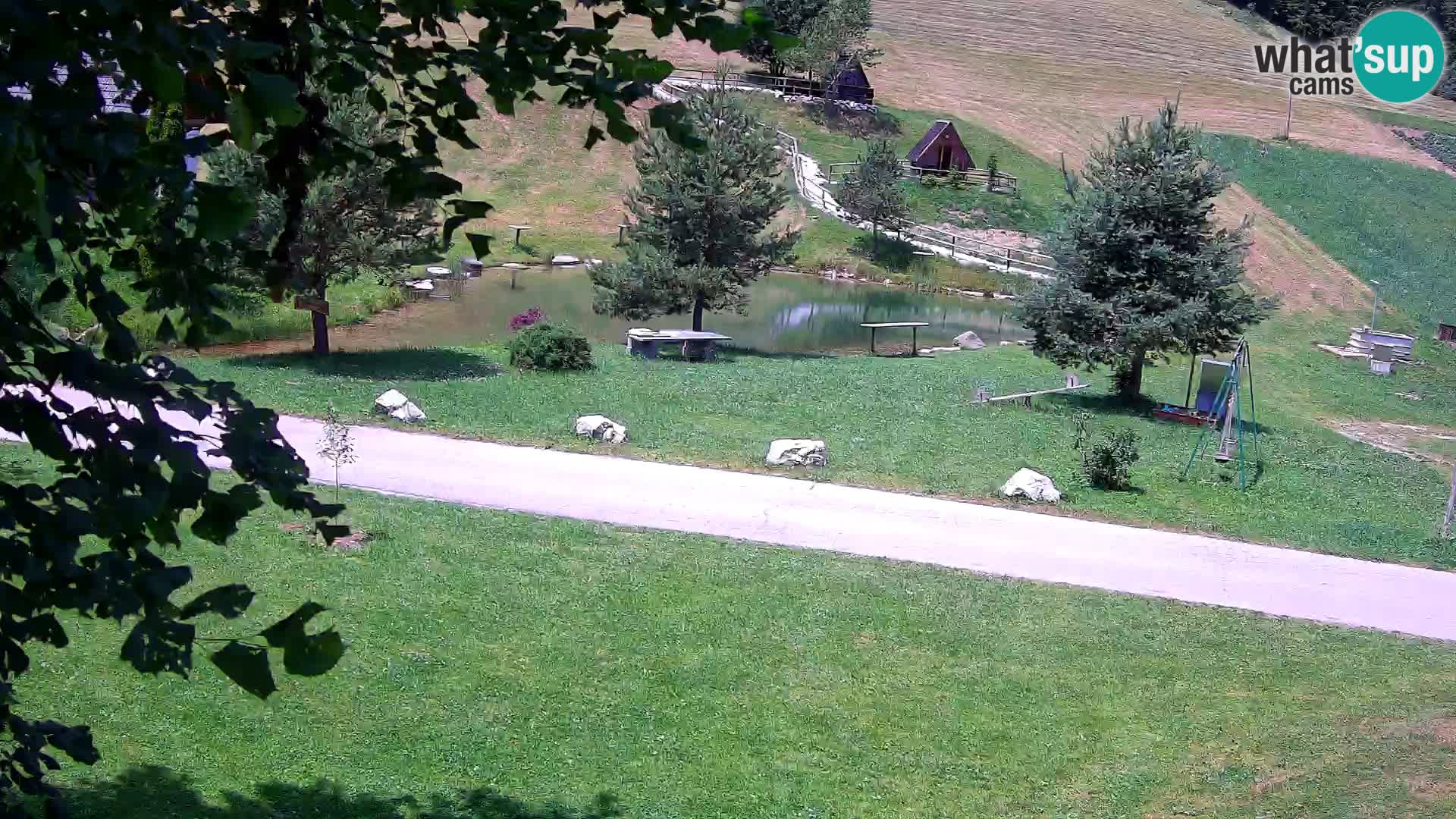 Pond at the Pr’Vrhovc Homestead Webcam