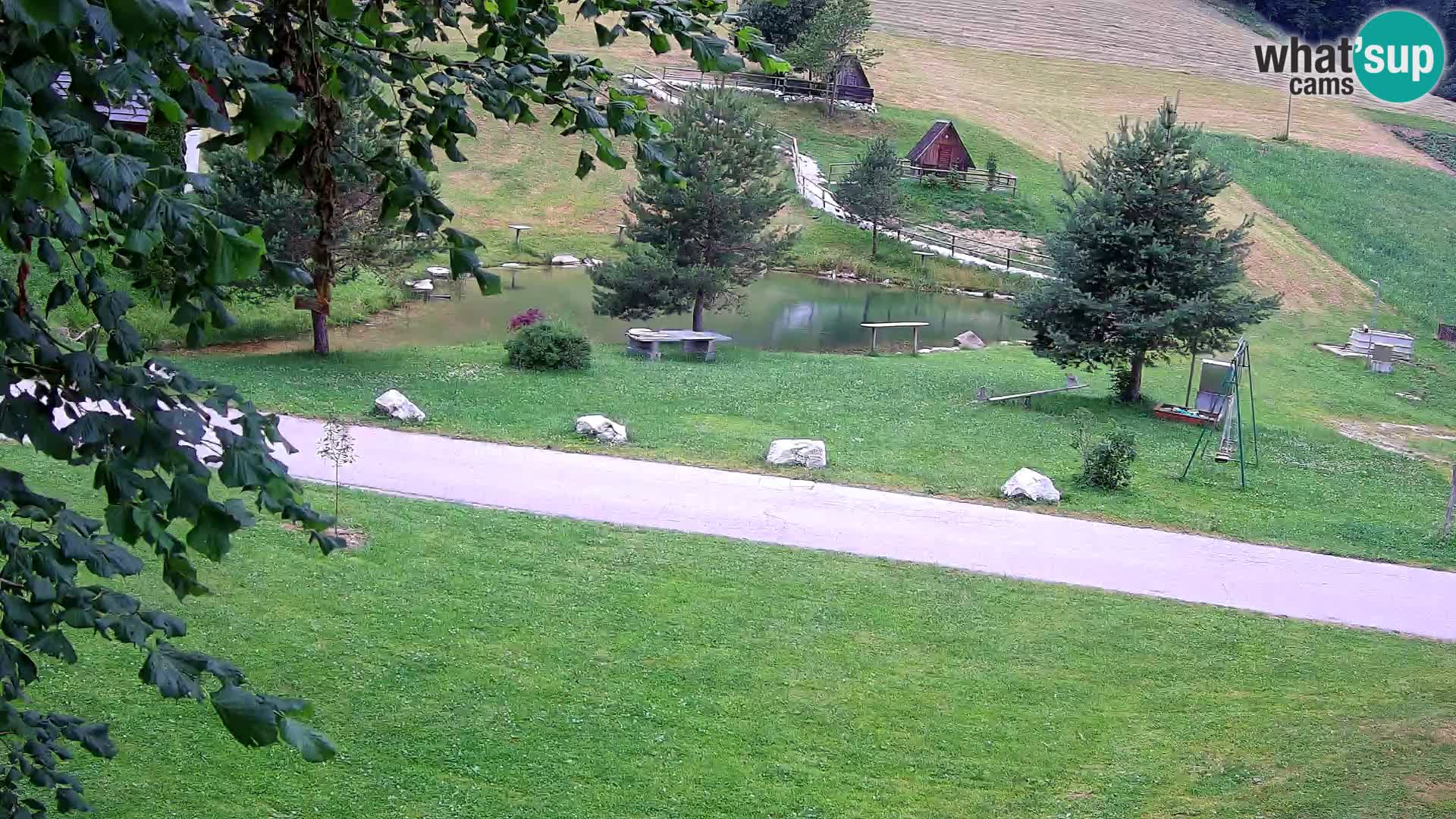 Pond at the Pr’Vrhovc Homestead Webcam