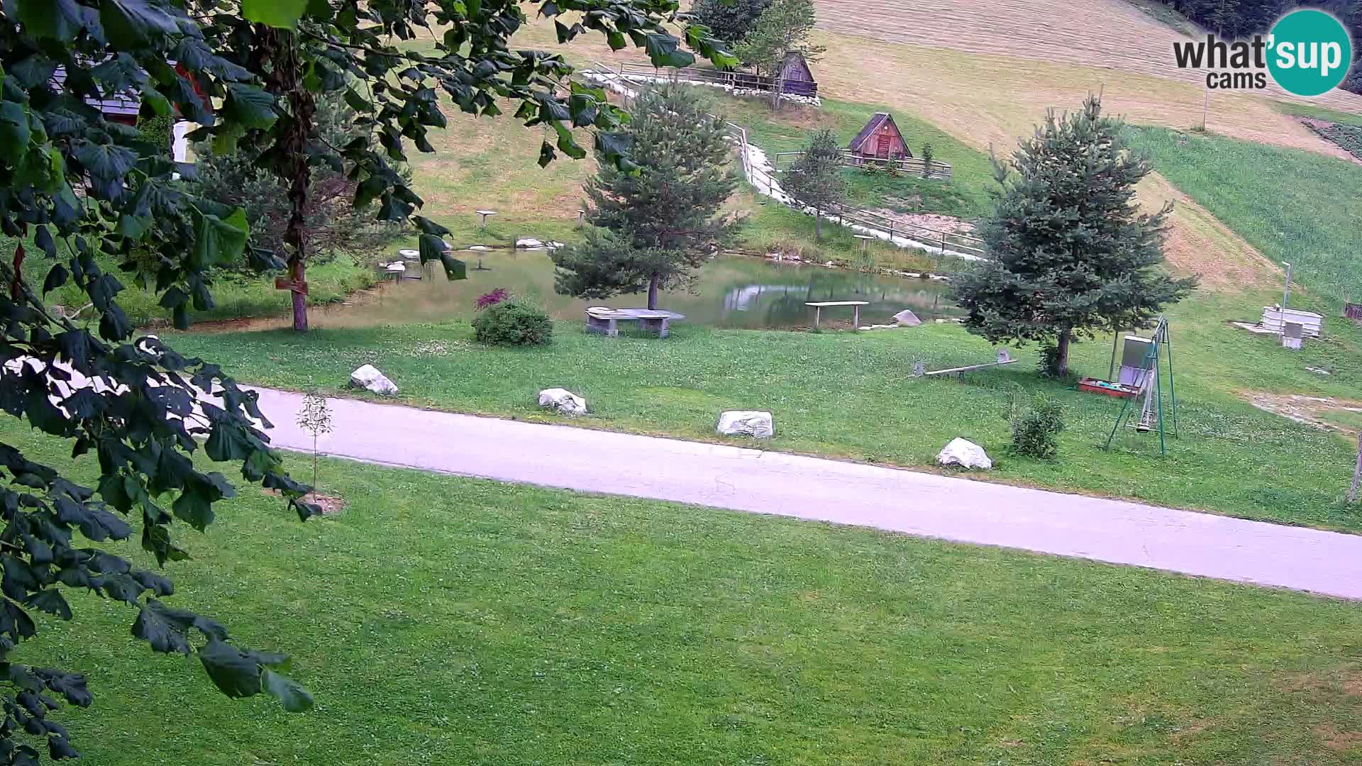Teich auf dem Bauernhof Pr’Vrhovc | Webkamera