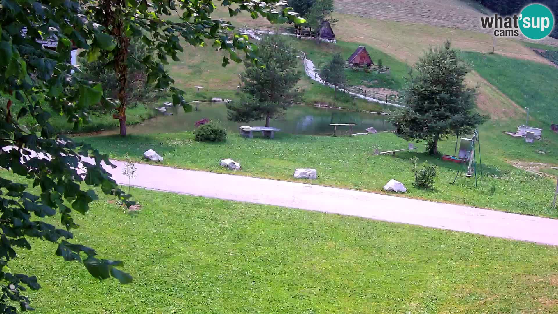 Pond at the Pr’Vrhovc Homestead Webcam